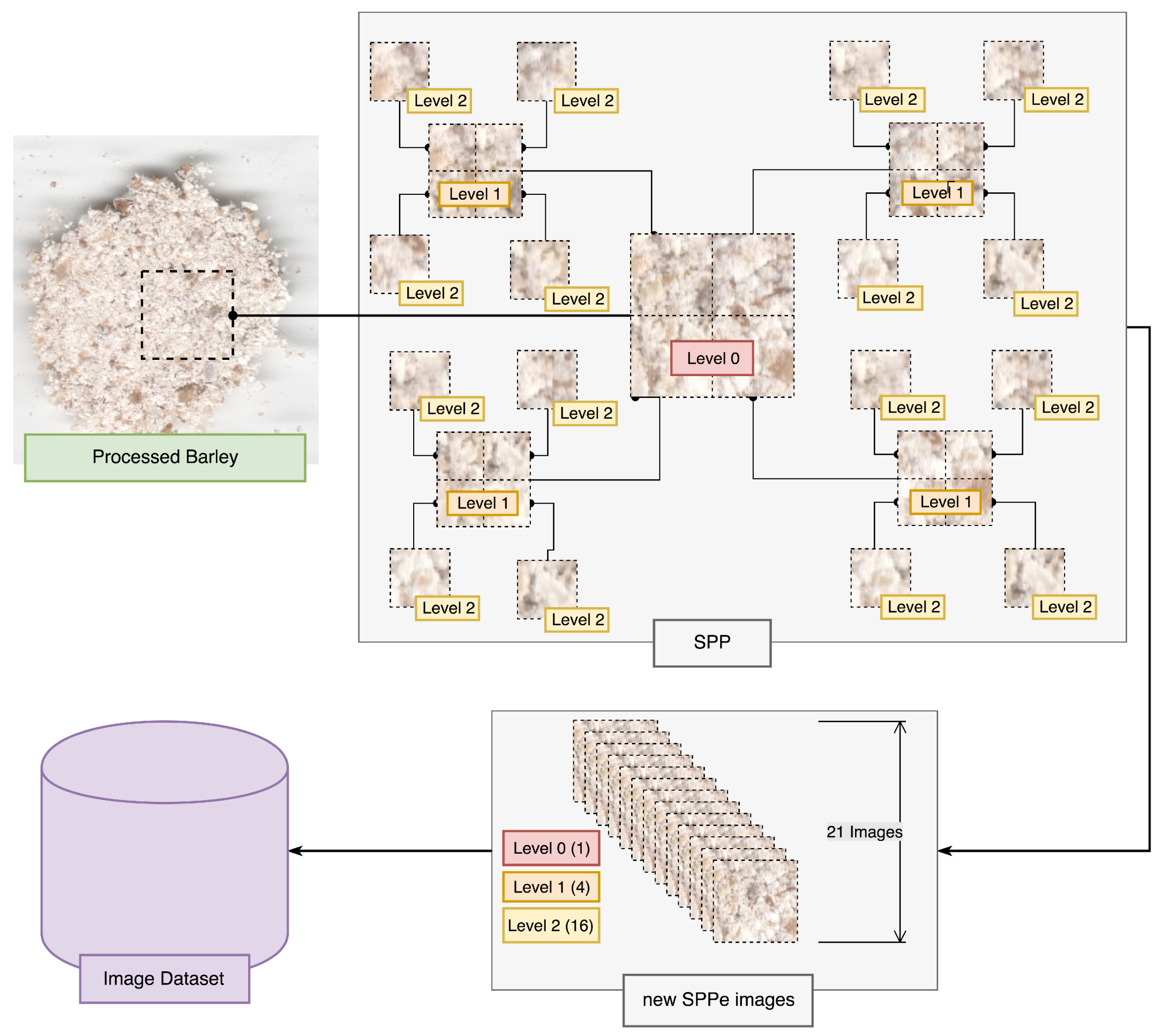 Sensors 19 02953 g004