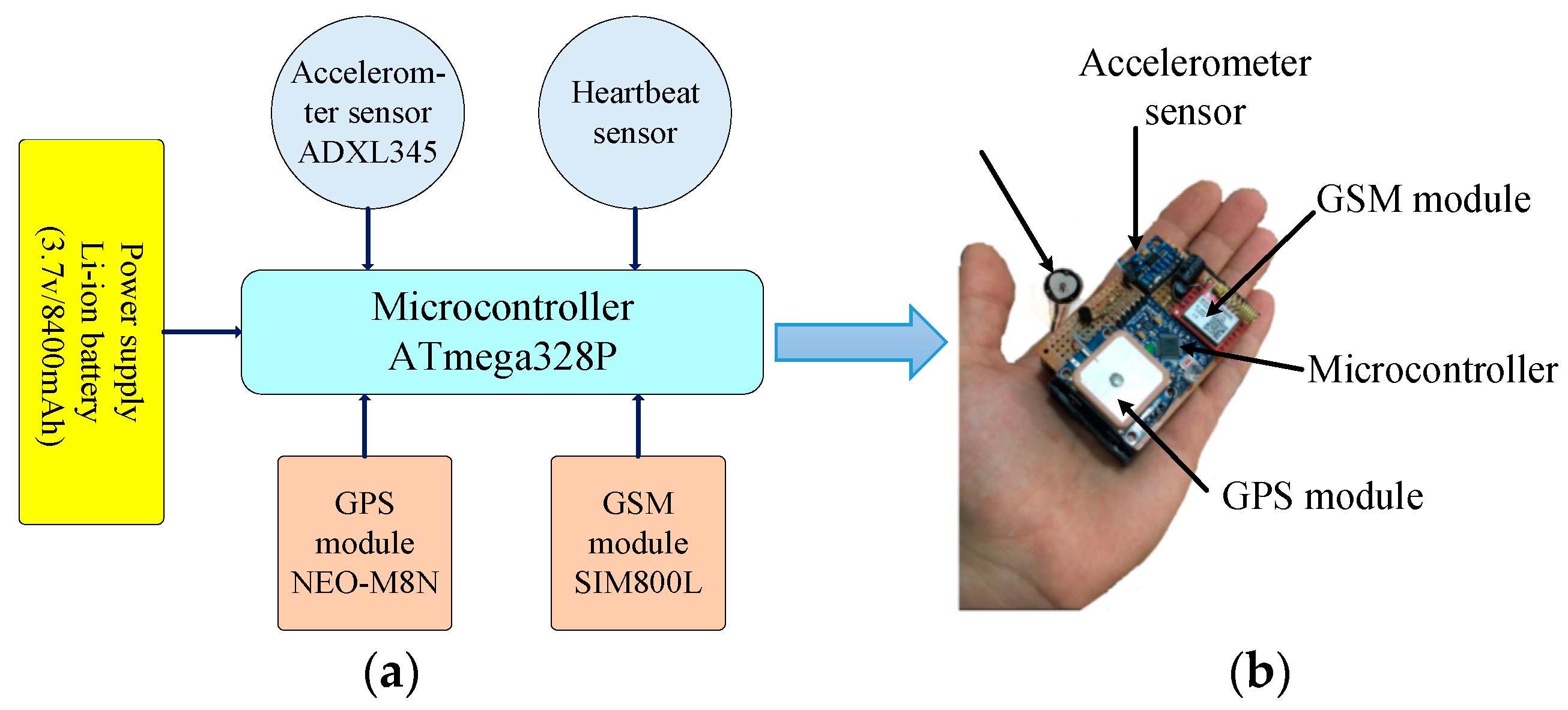 Sensors 19 02955 g002