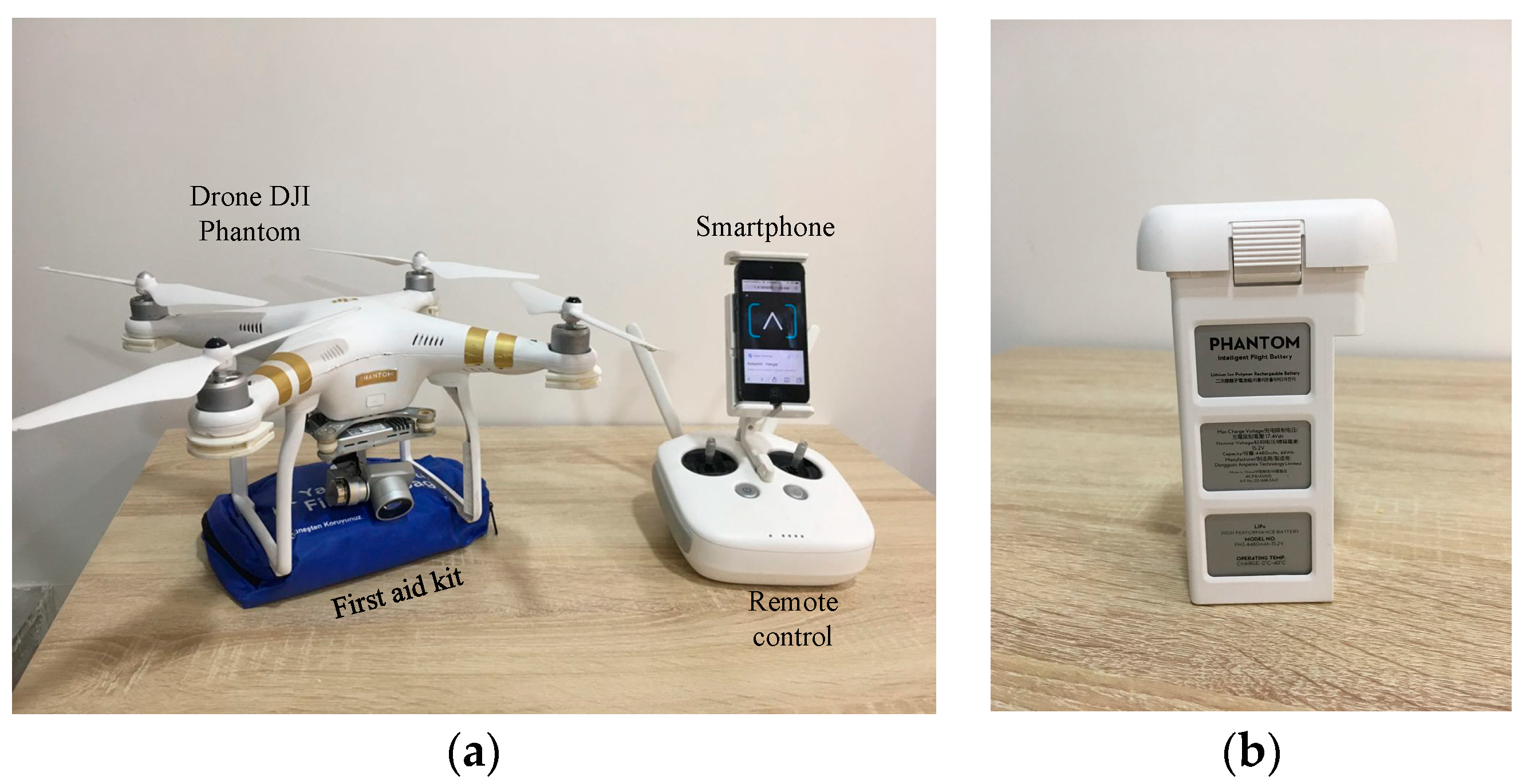 Sensors 19 02955 g004