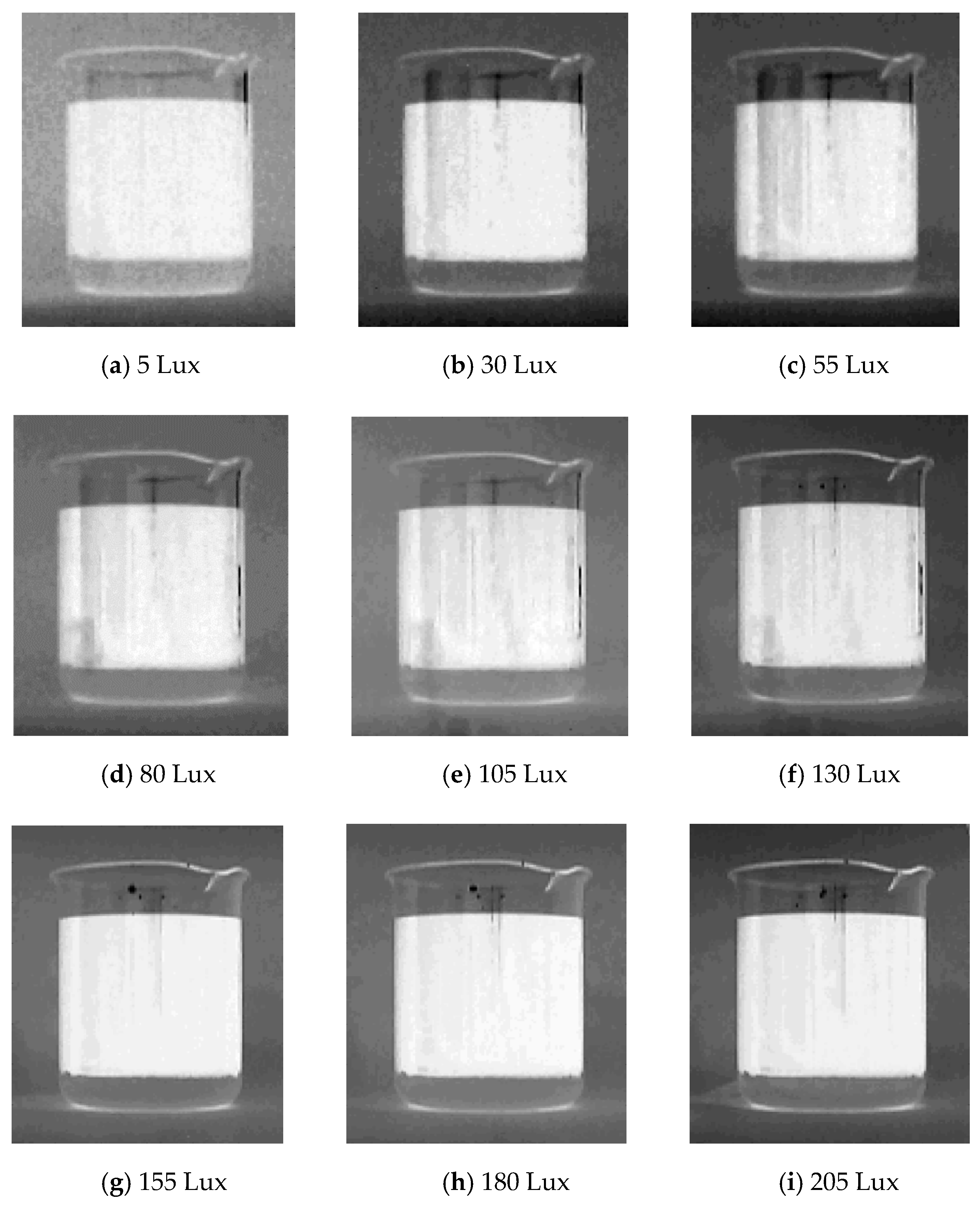 Sensors 19 02963 g008