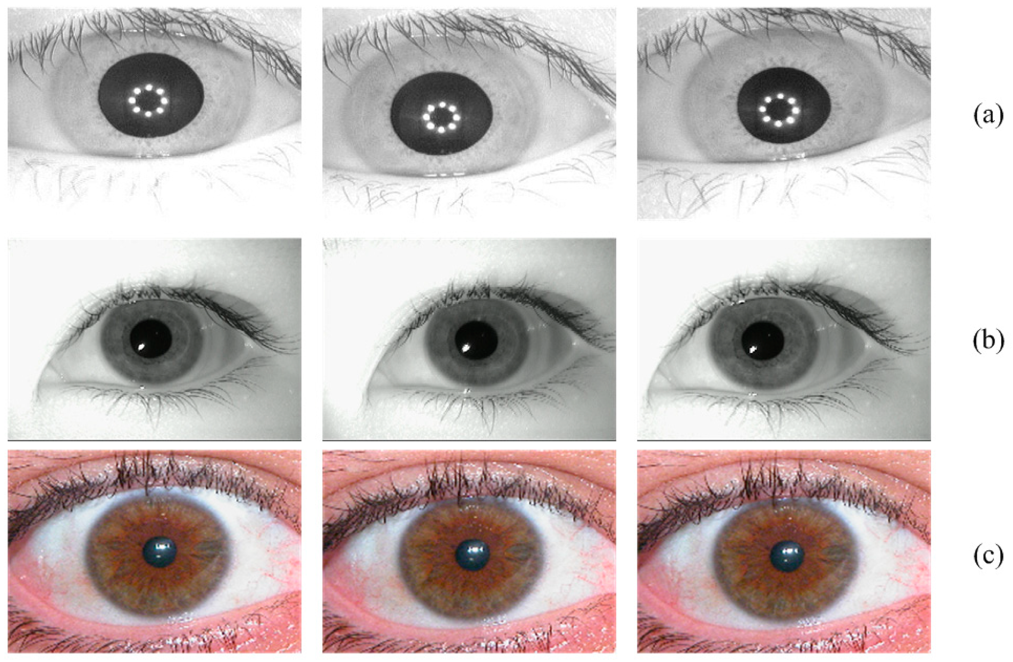 Sensors 19 02985 g005