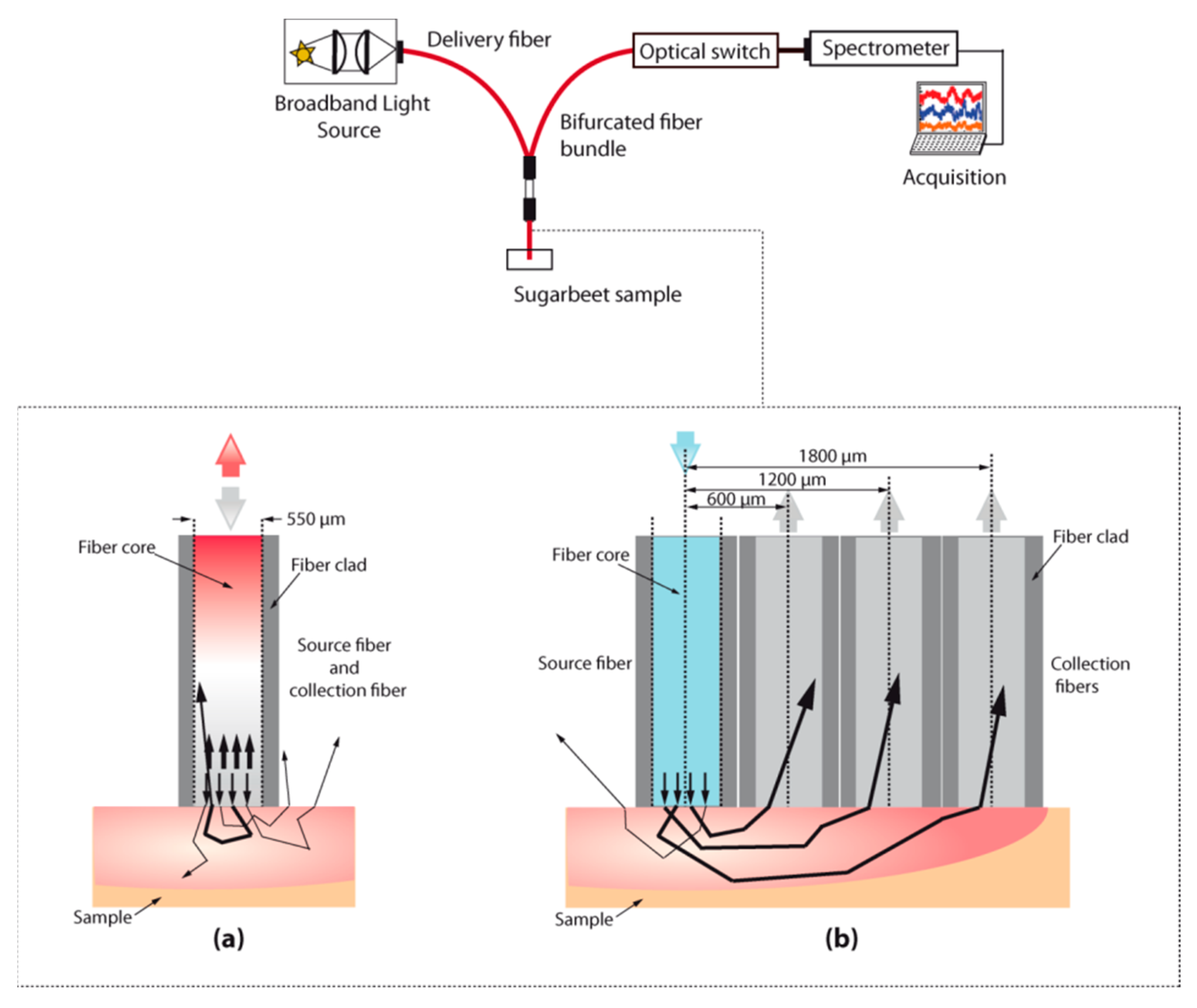 Sensors 19 02995 g002