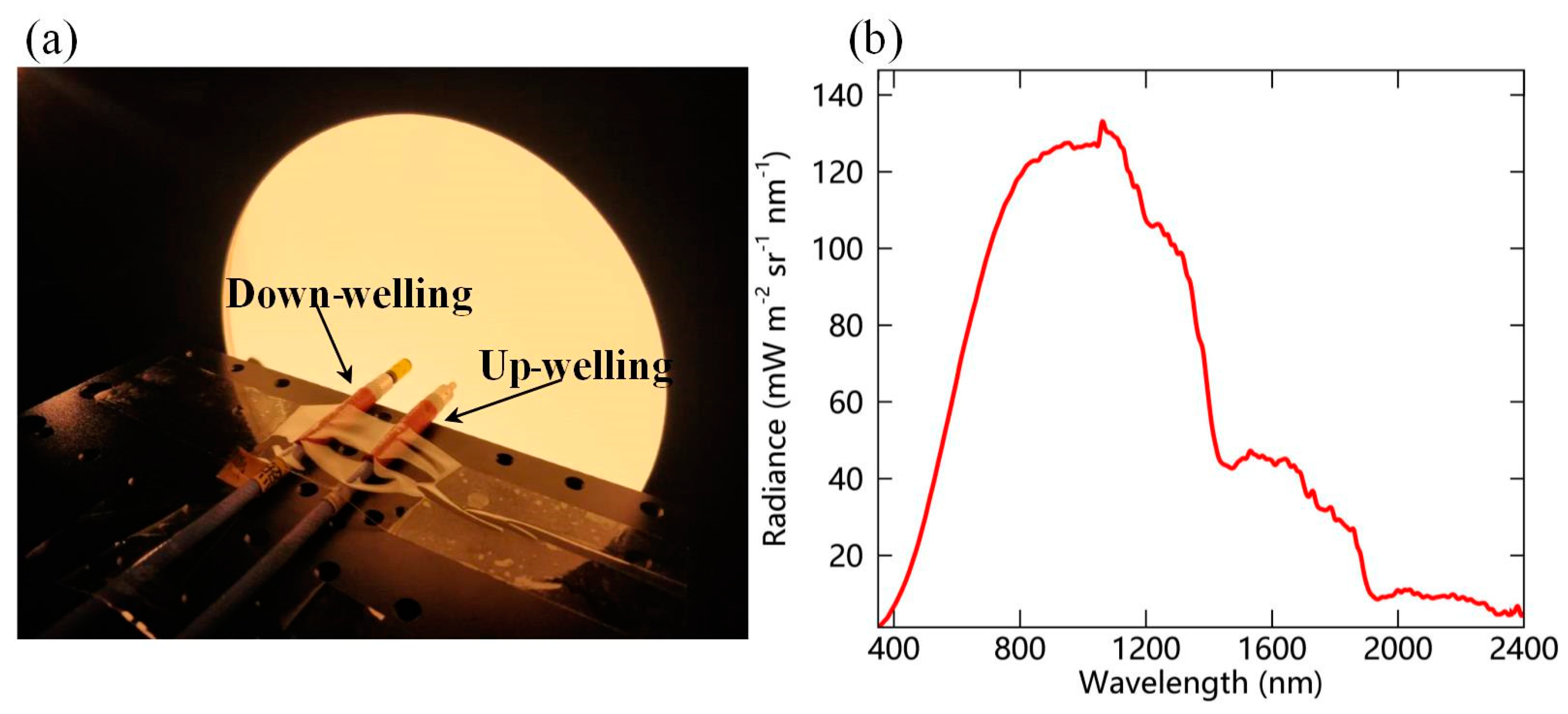 Sensors 19 03009 g003