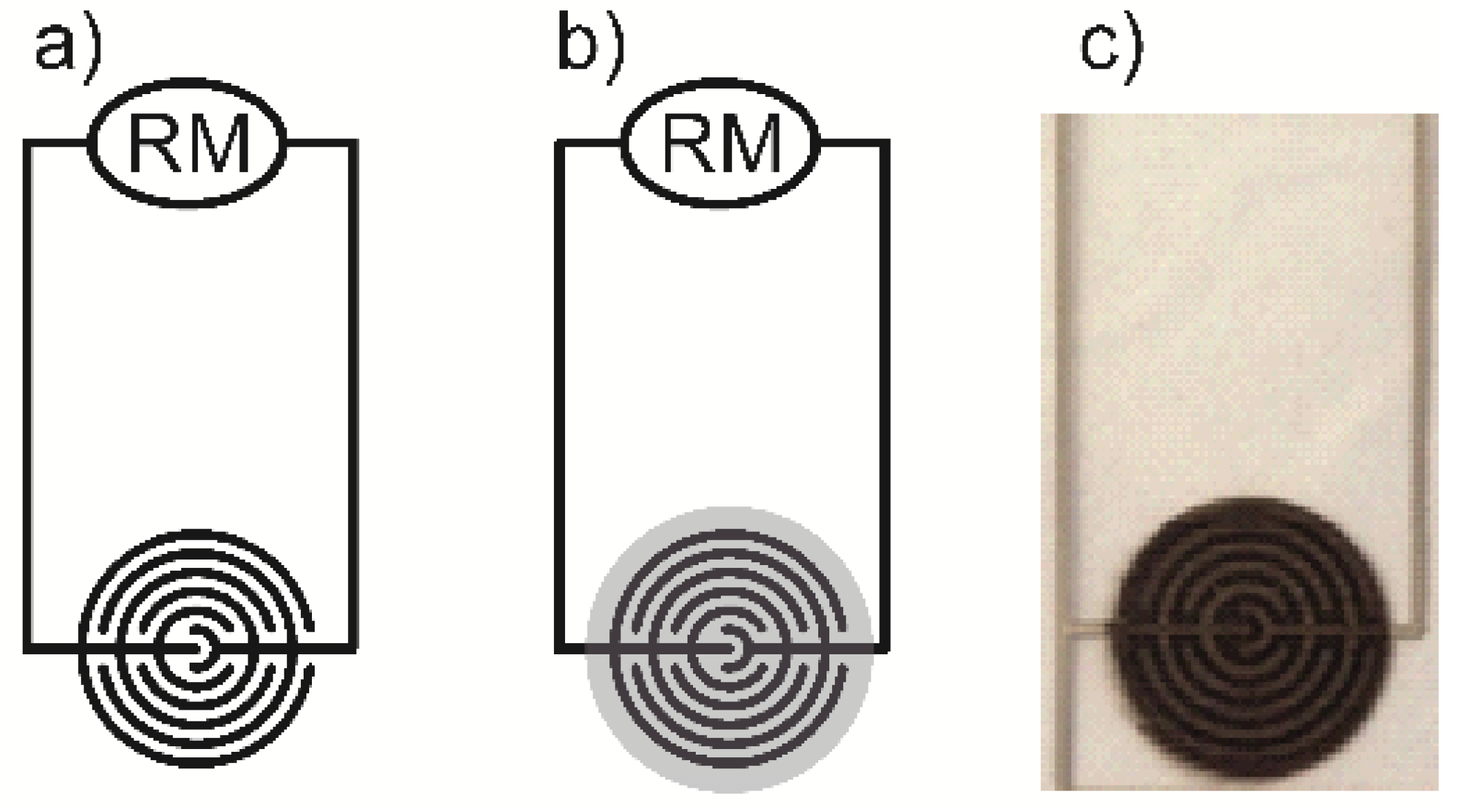 Sensors 19 03068 g001