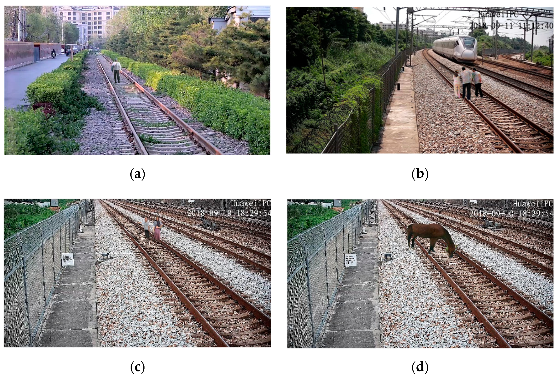 Sensors 19 03075 g018