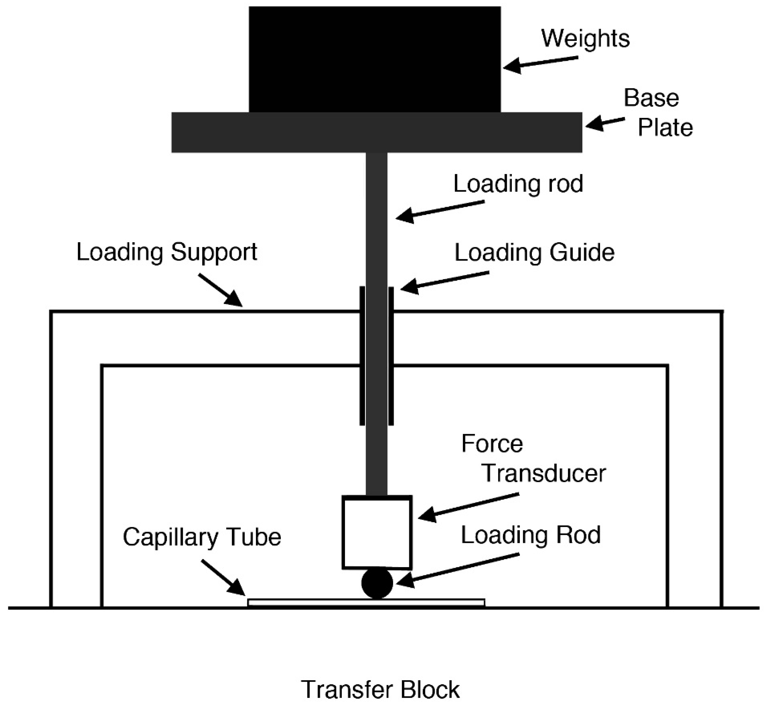 Sensors 19 03129 g003