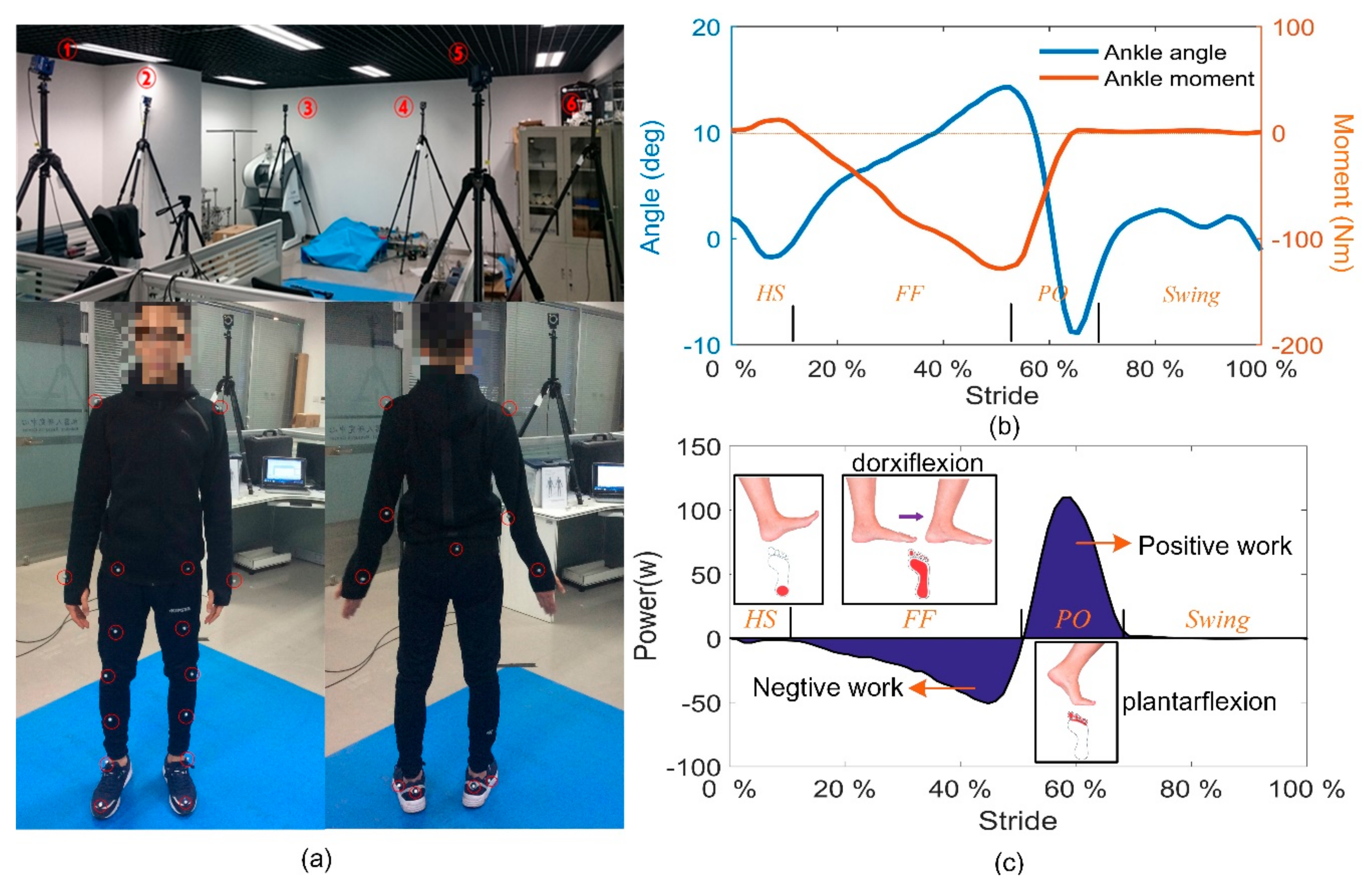 Sensors 19 03196 g001