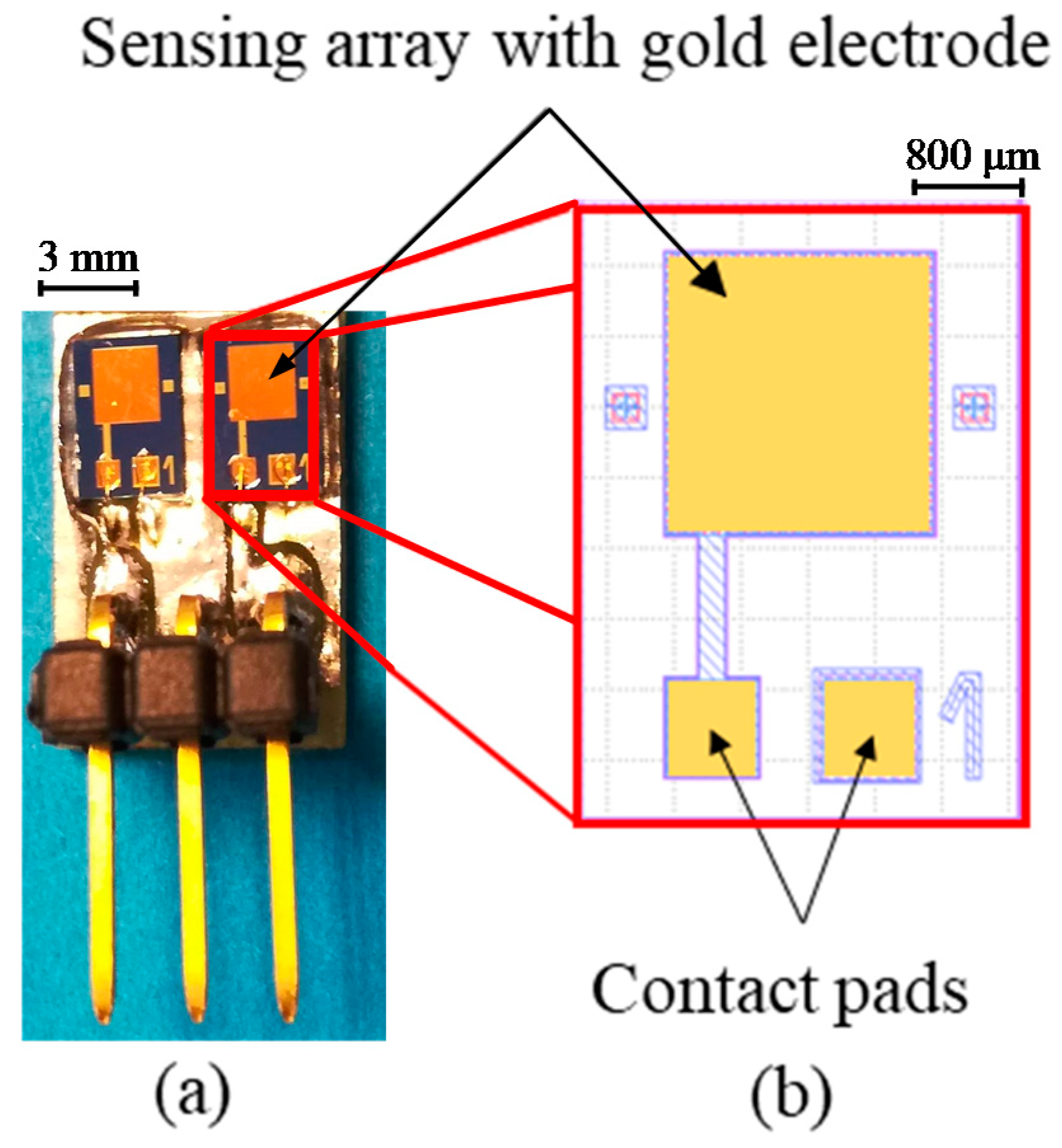 Sensors 19 03236 g003
