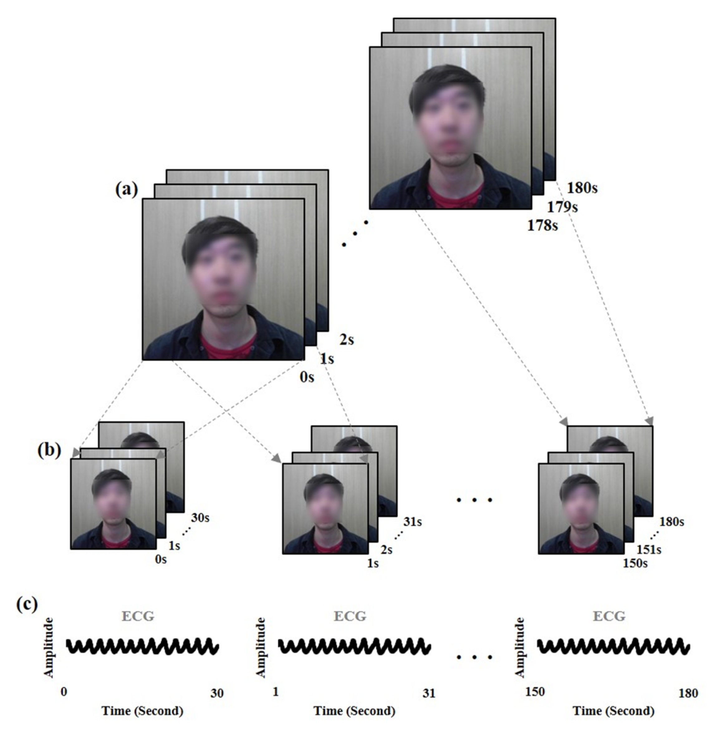 Sensors 19 03263 g005