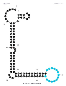 Sensors 19 03270 i001 Sensors 19 03270 i001