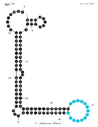 Sensors 19 03270 i003 Sensors 19 03270 i003