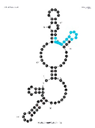 Sensors 19 03270 i004 Sensors 19 03270 i004