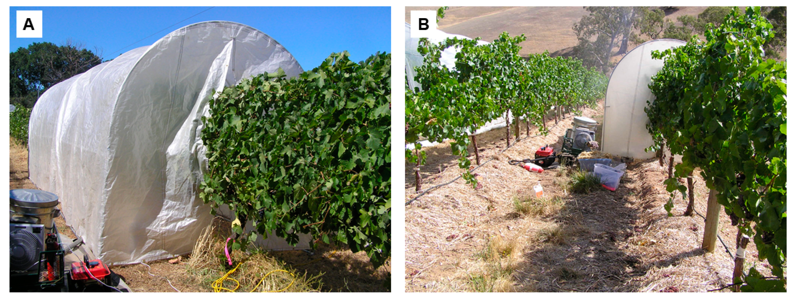 Sensors 19 03335 g001