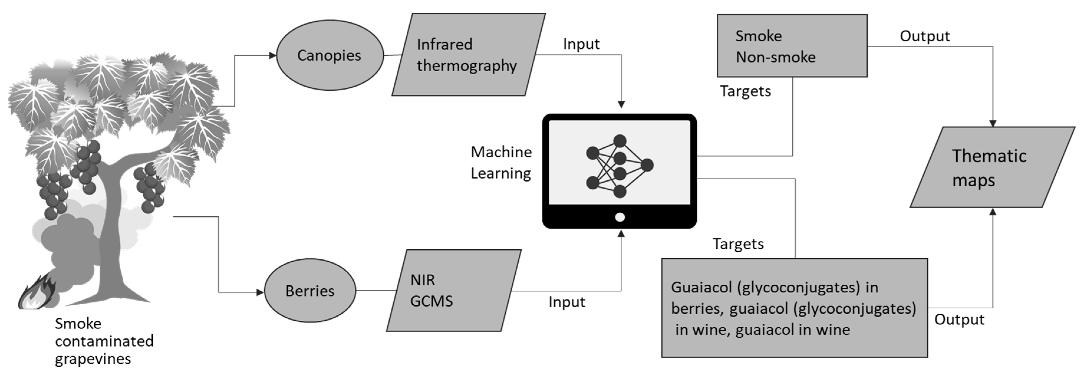 Sensors 19 03335 g009