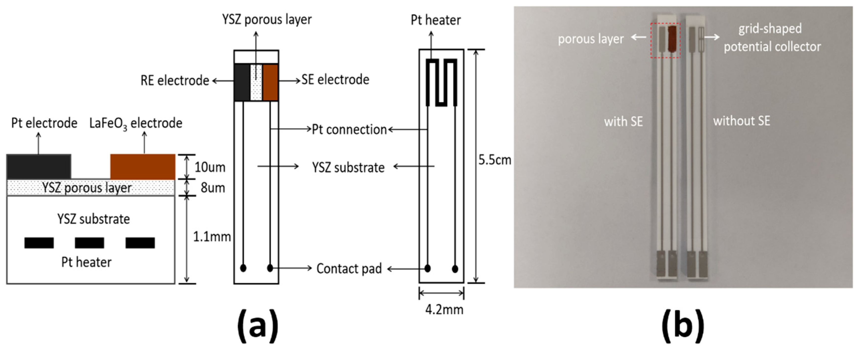 Sensors 19 03337 g001