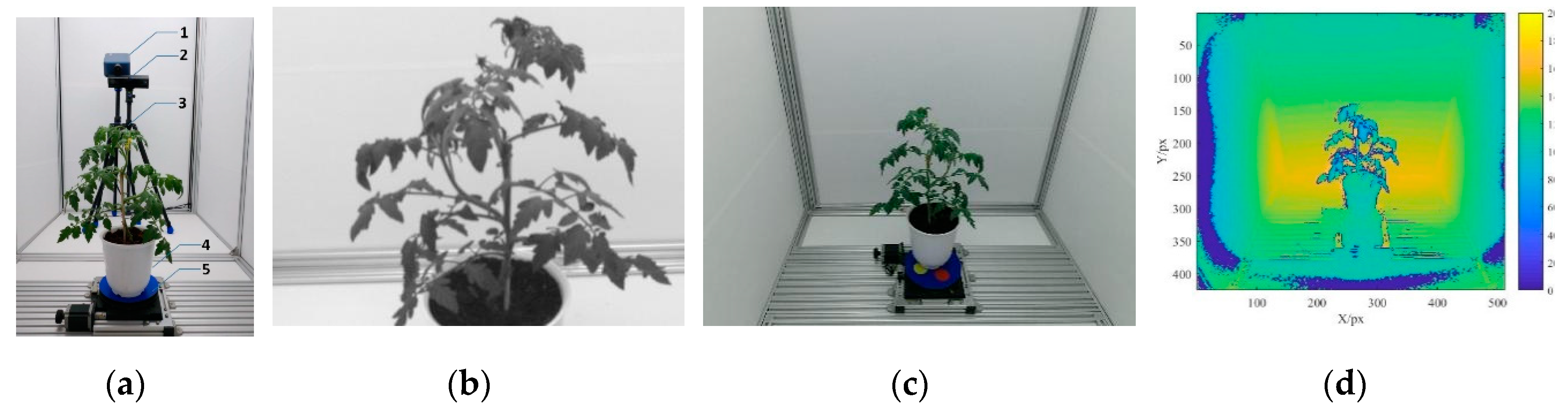 Sensors 19 03345 g001