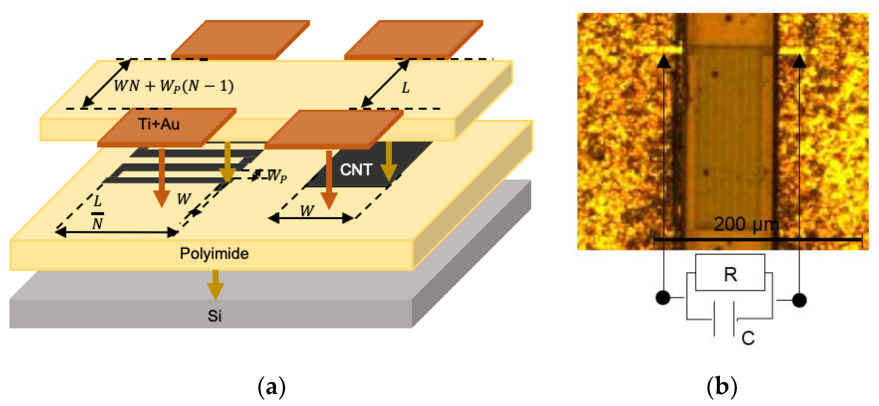 Sensors 19 03389 g001