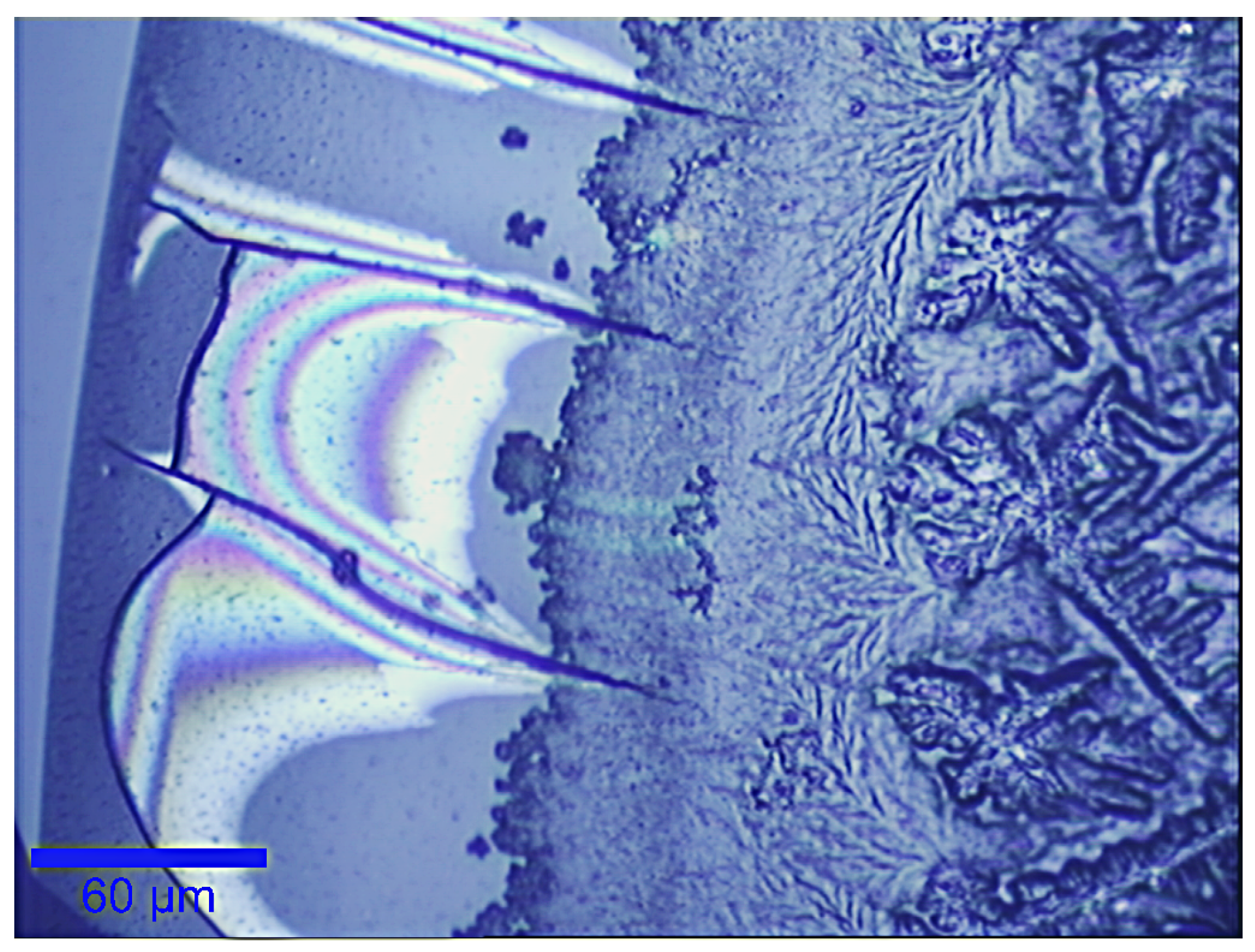 Sensors 19 03392 g001
