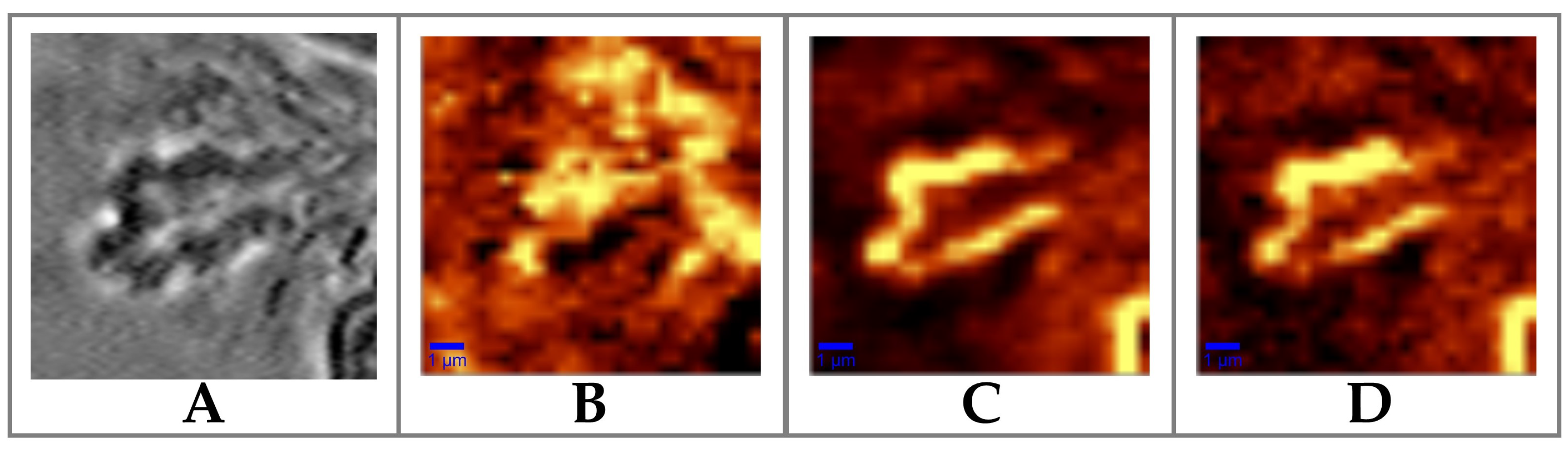 Sensors 19 03392 g003