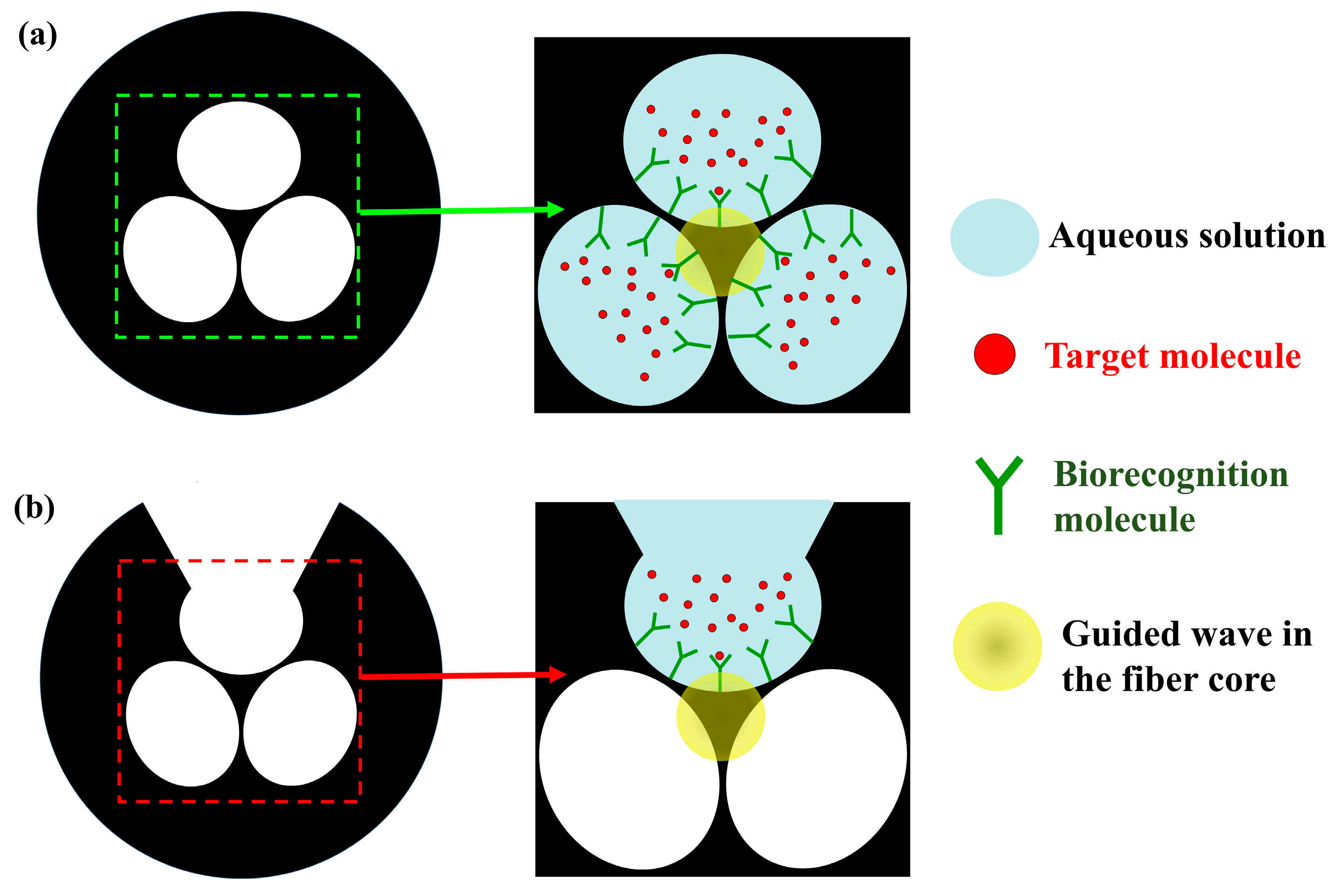 Sensors 19 03449 g013