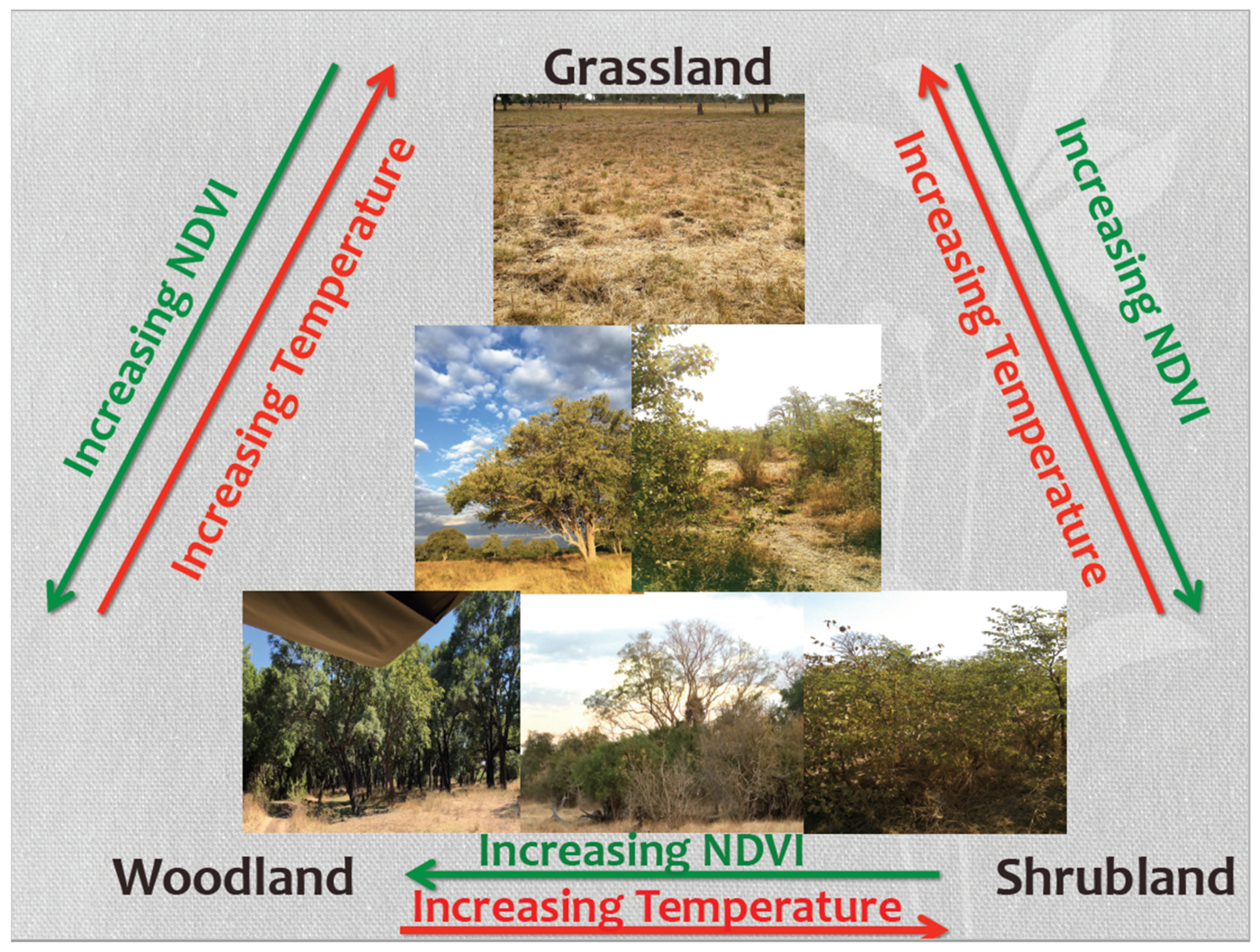 Sensors 19 03456 g001