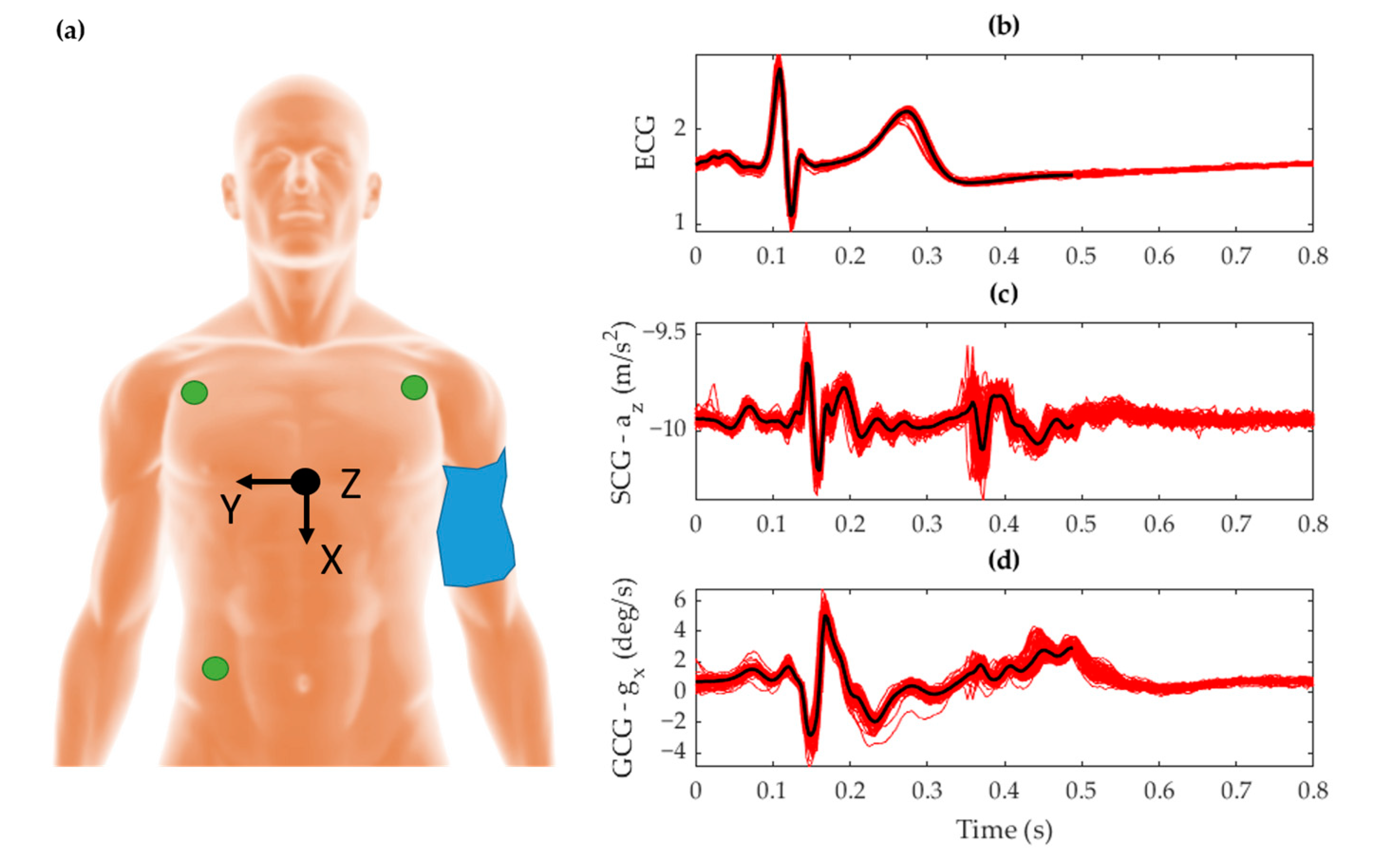 Sensors 19 03472 g002