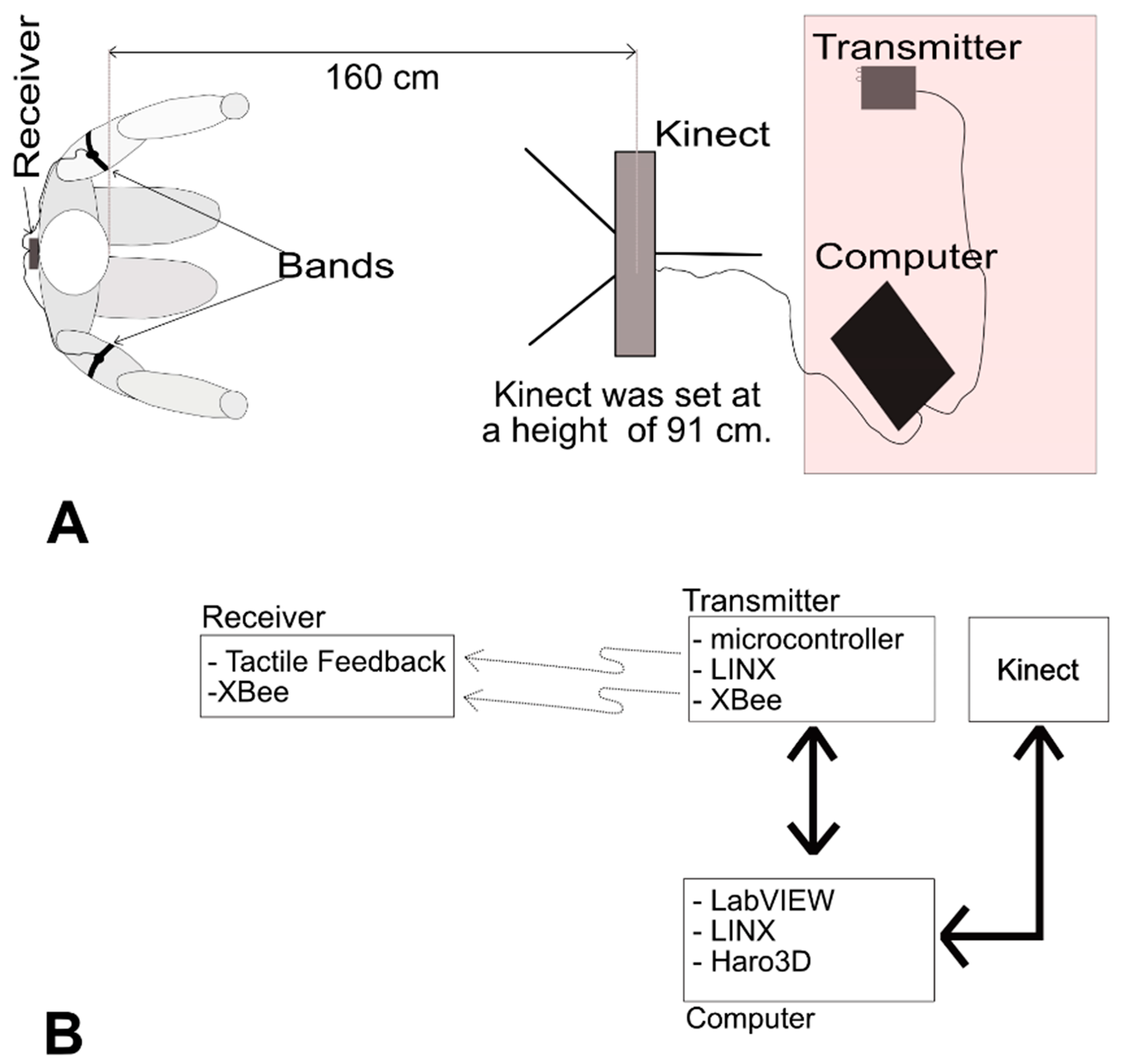 Sensors 19 03474 g001