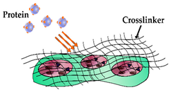 Sensors 19 03485 i001