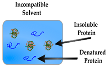 Sensors 19 03485 i005