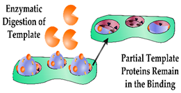 Sensors 19 03485 i010