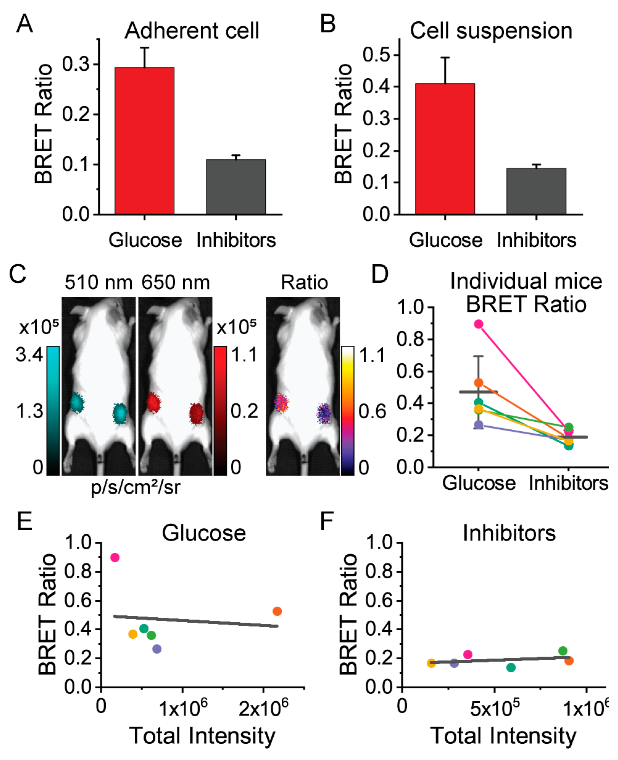 Sensors 19 03502 g005