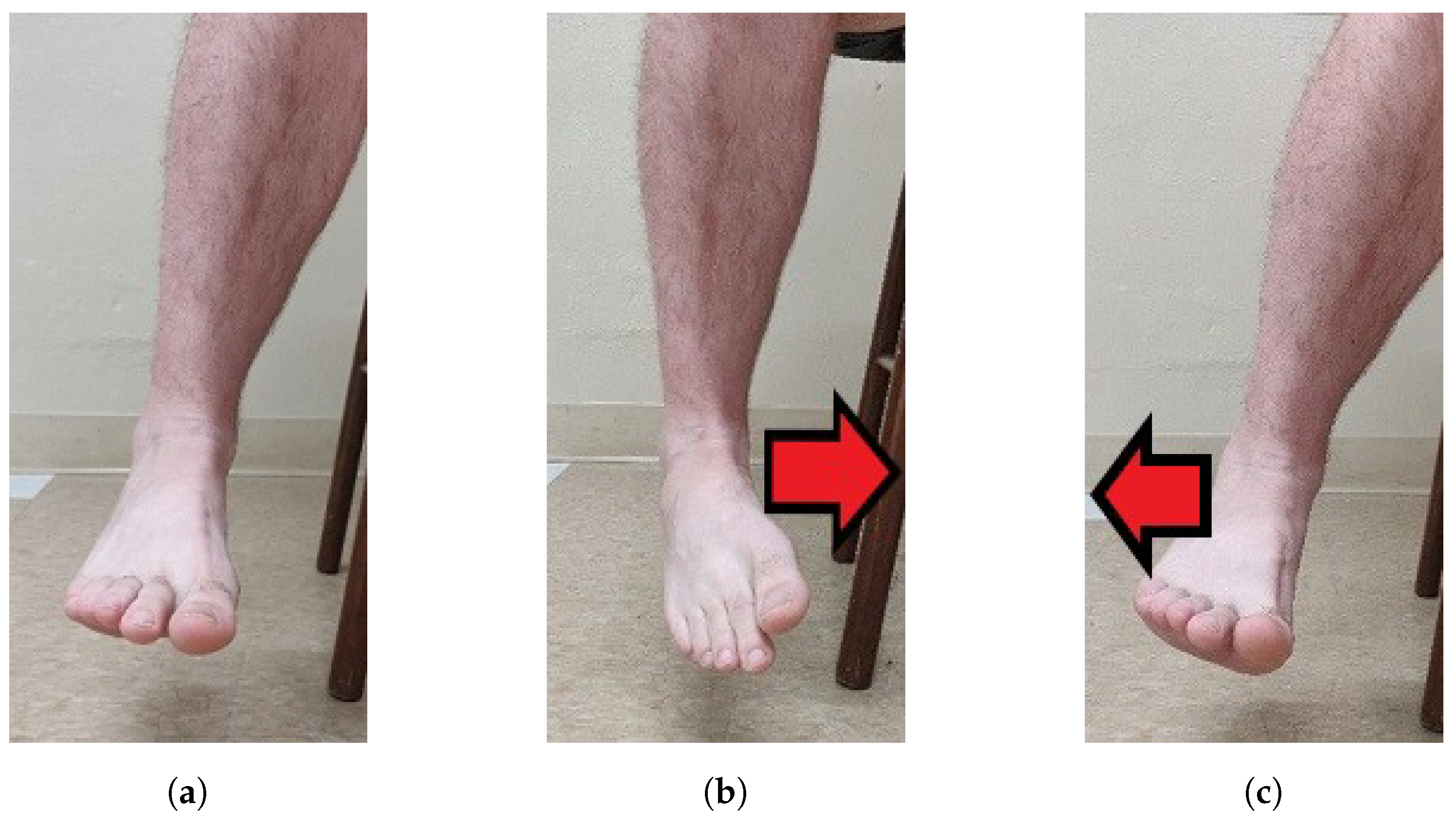 Sensors 19 03509 g002