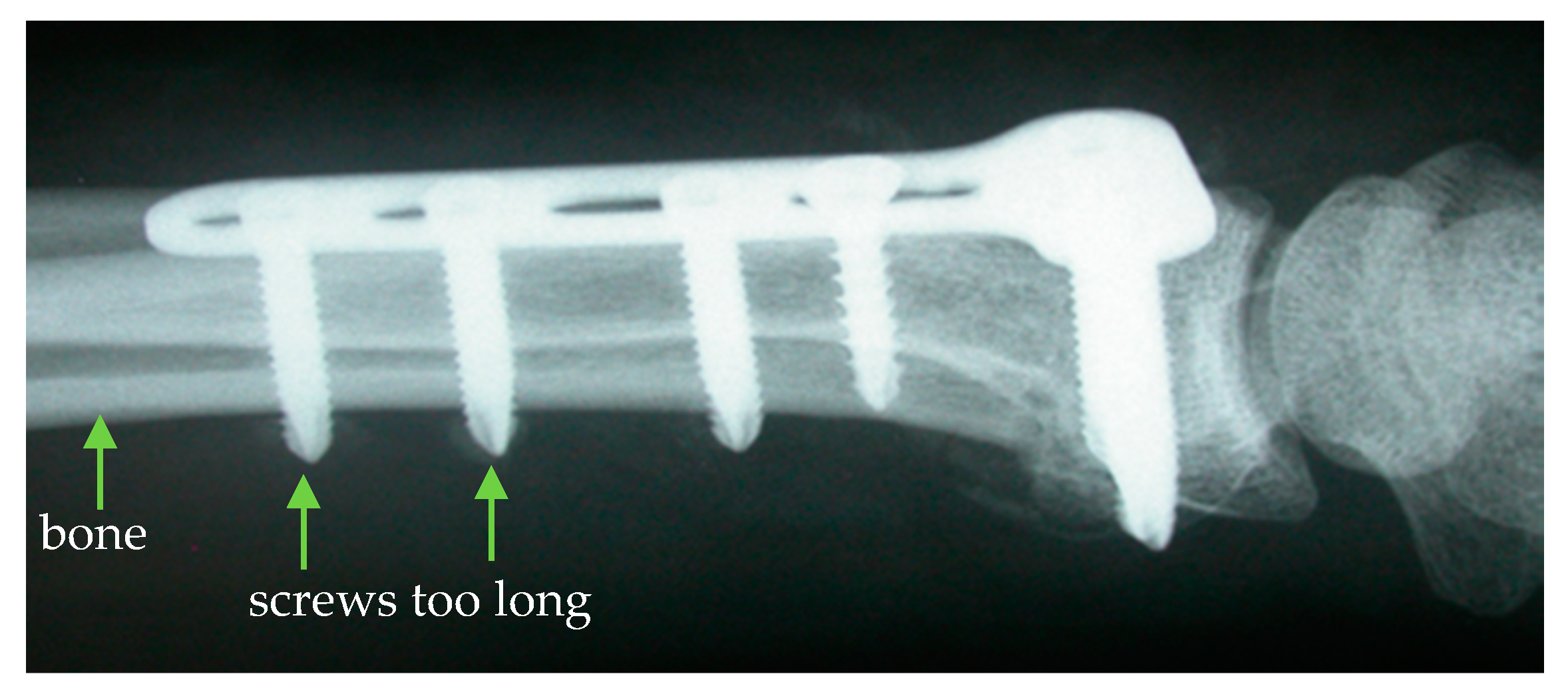 Sensors 19 03532 g001