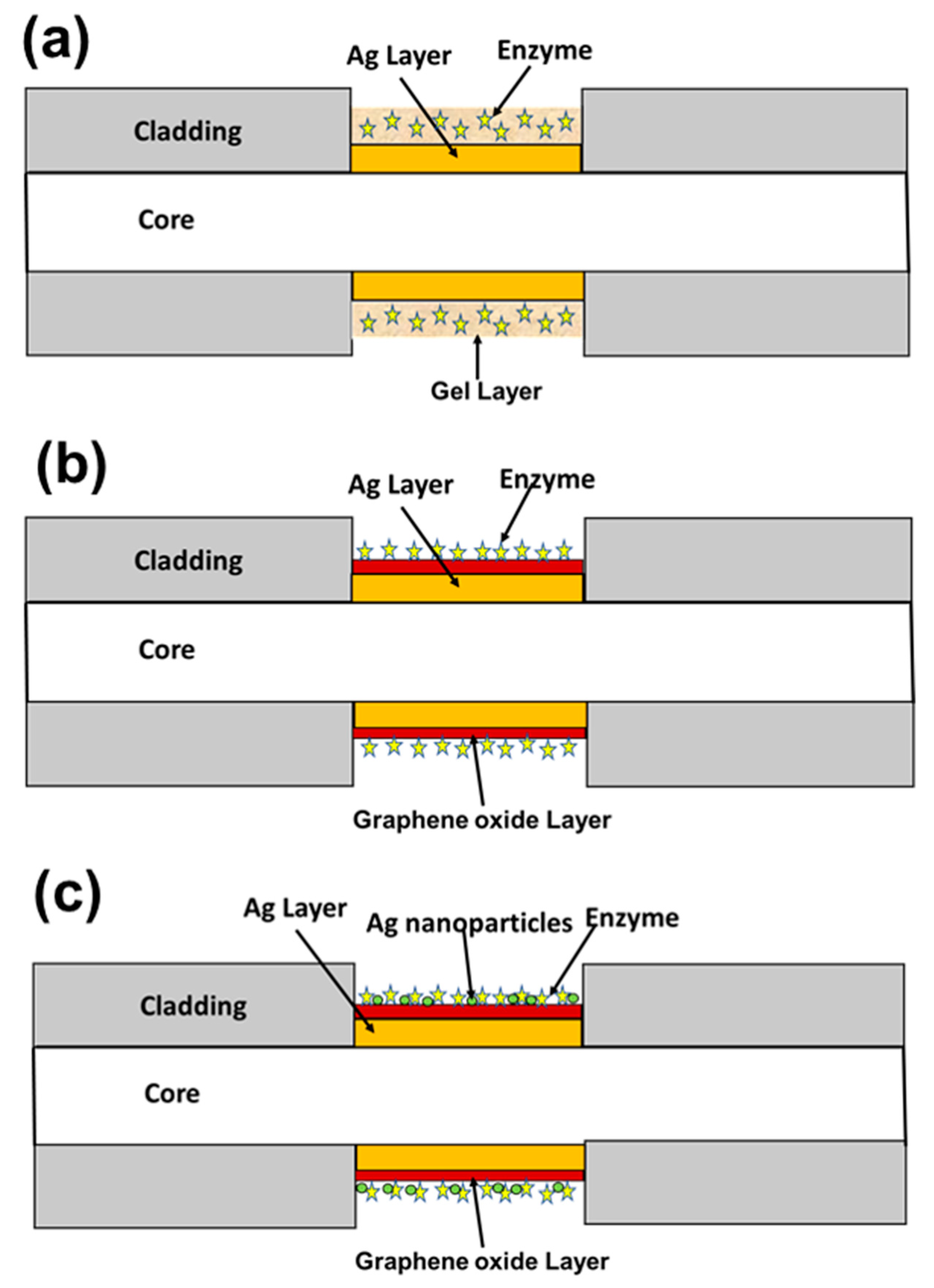 Sensors 19 03536 g011