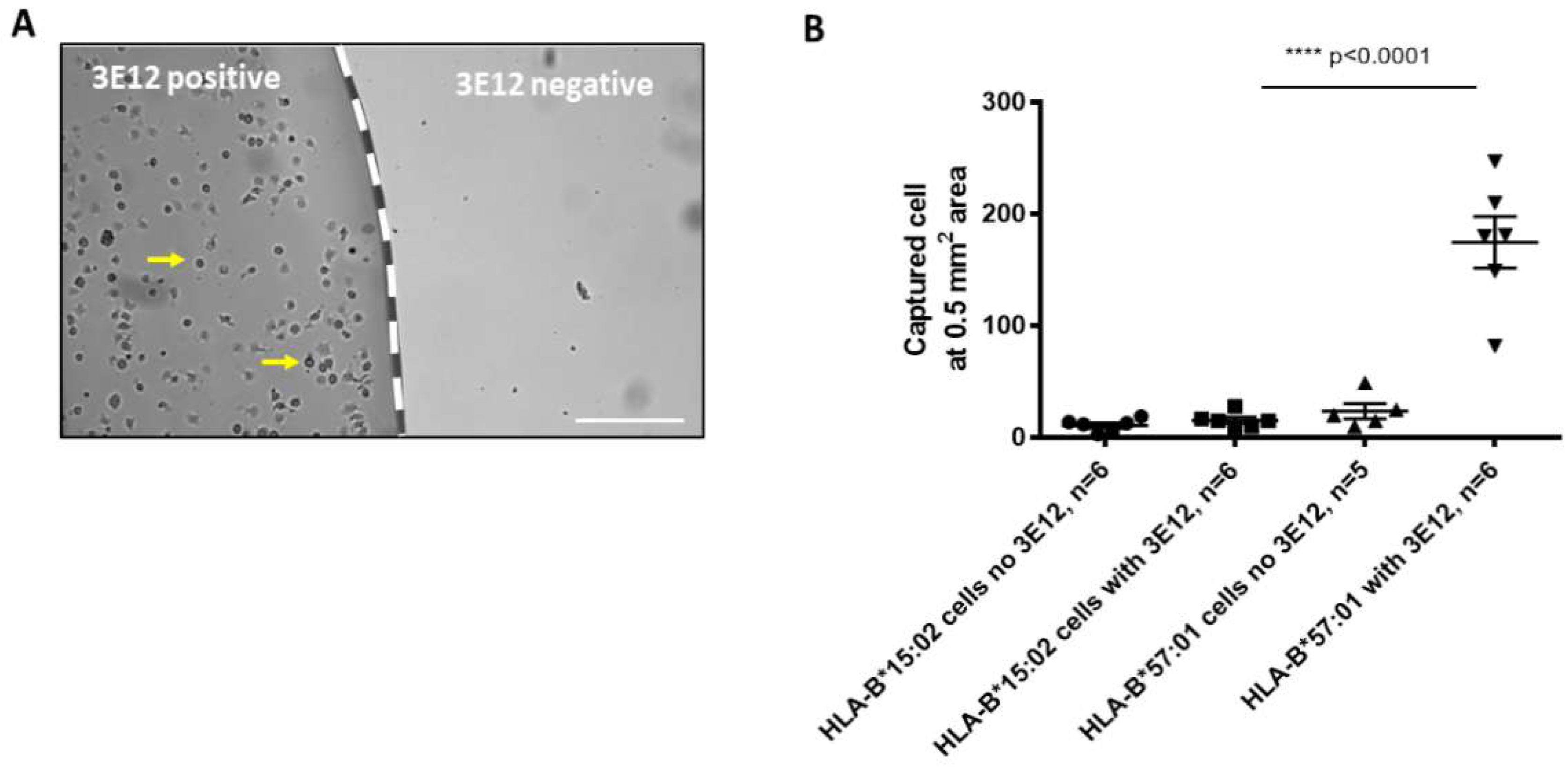 Sensors 19 03543 g002