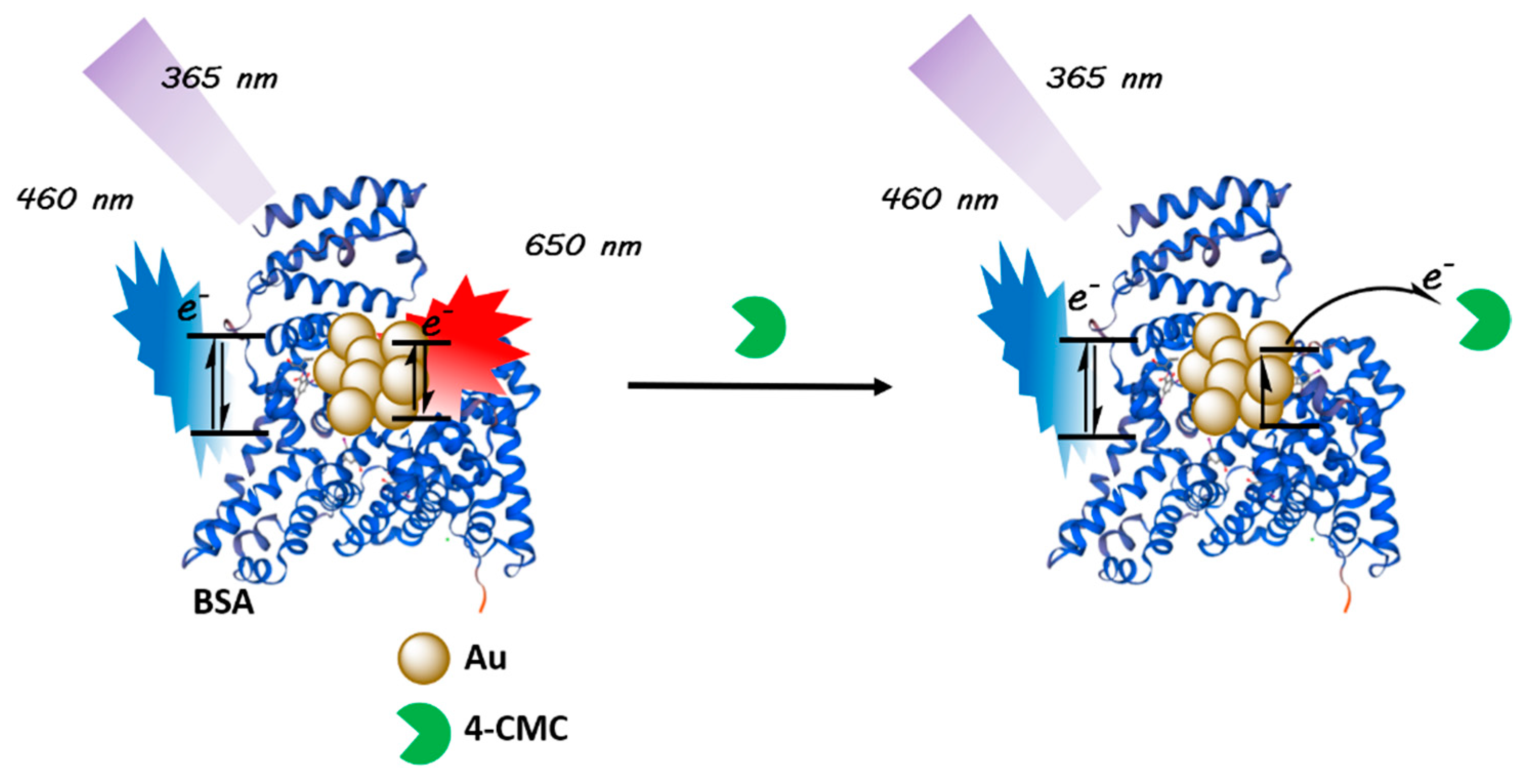 Sensors 19 03554 sch001