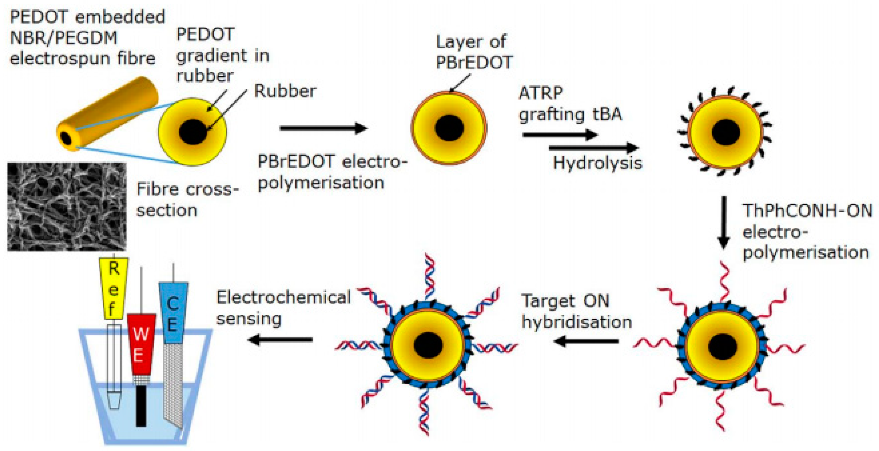 Sensors 19 03587 g005