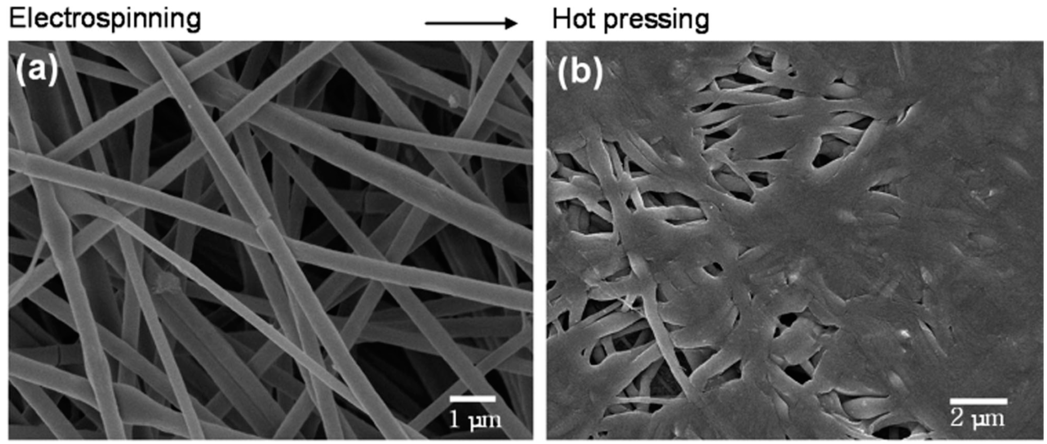 Sensors 19 03587 g008