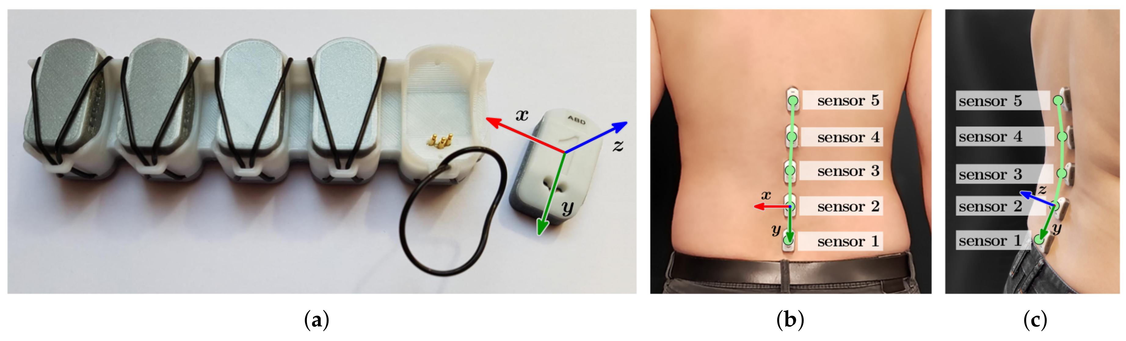 Sensors 19 03625 g001