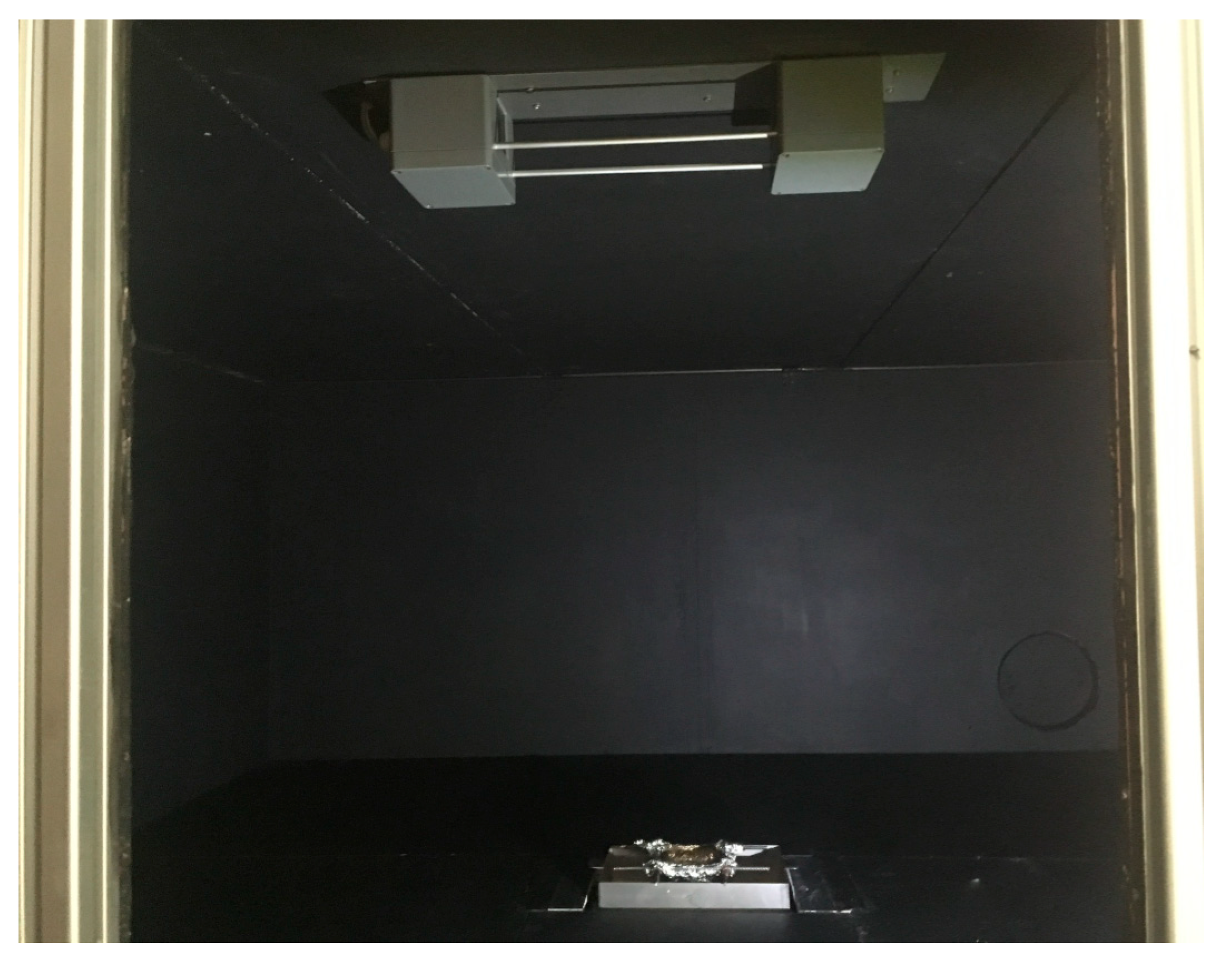 Sensors 19 03628 g010