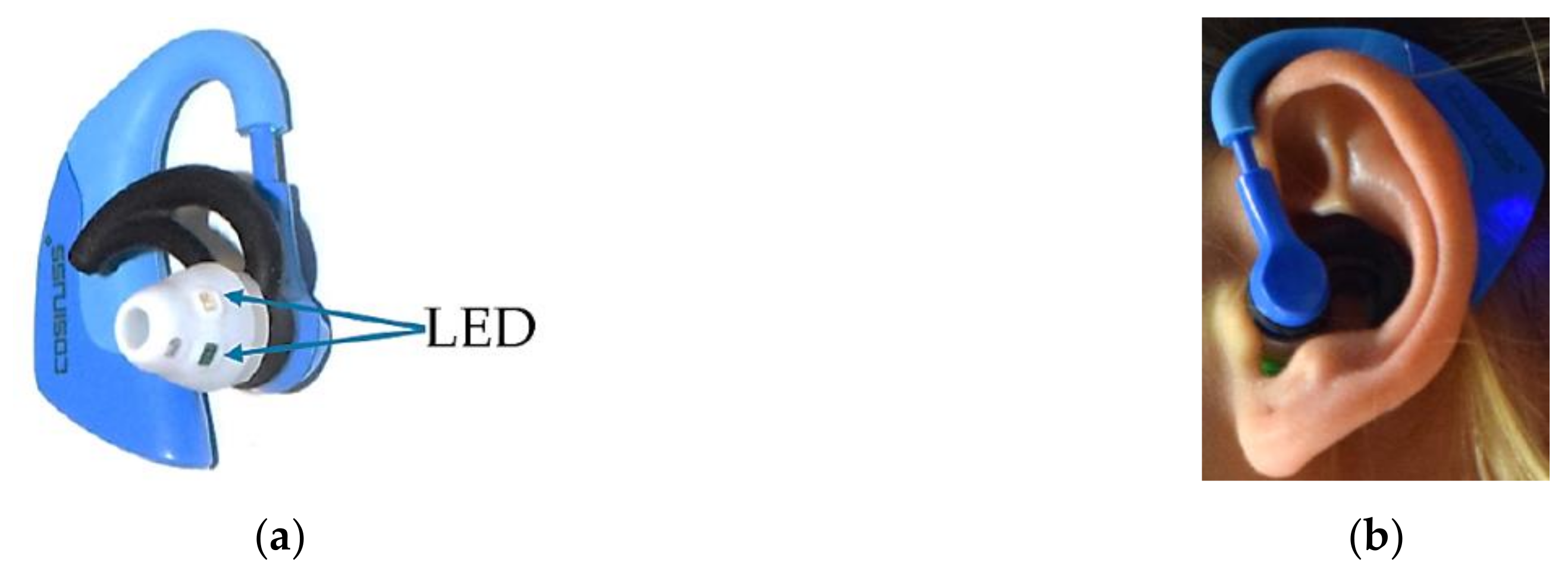 Sensors 19 03641 g002