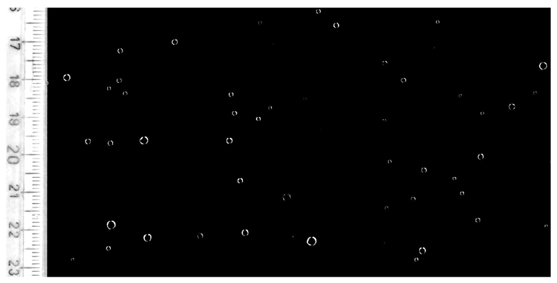 Sensors 19 03653 g008