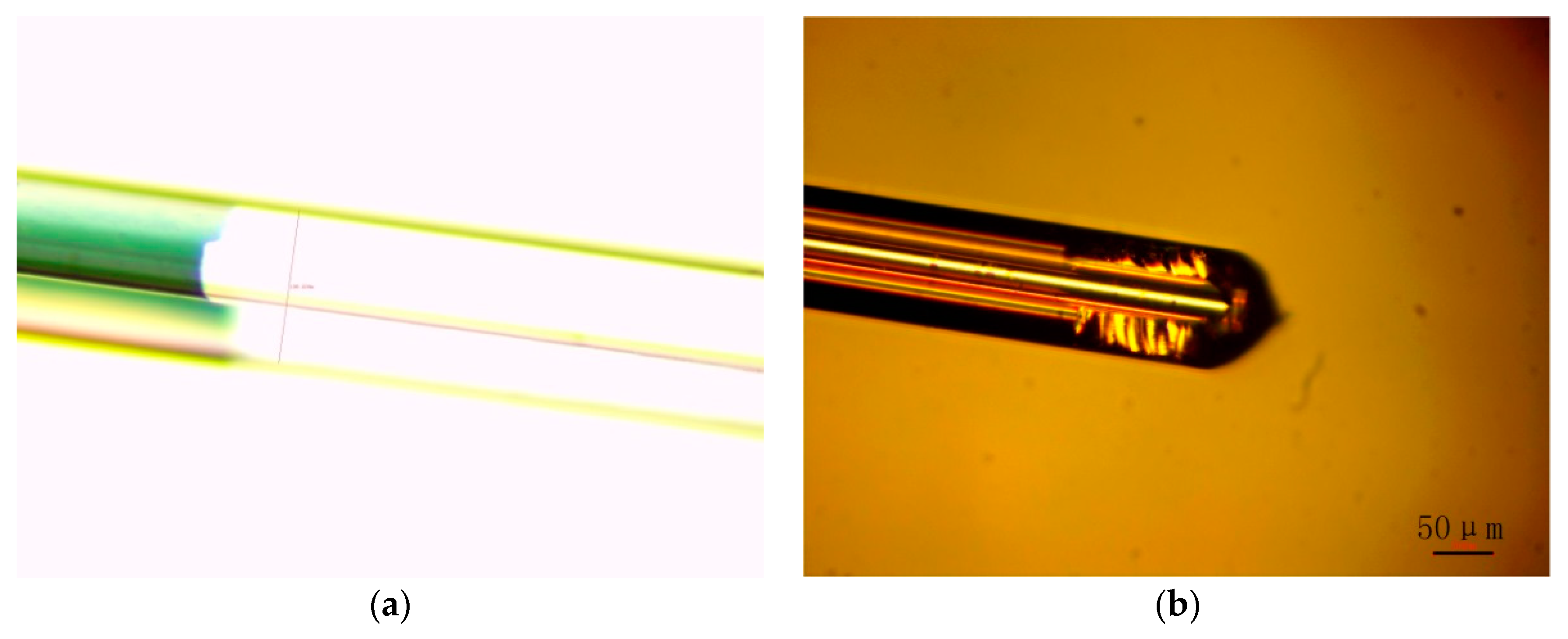 Sensors 19 03666 g007