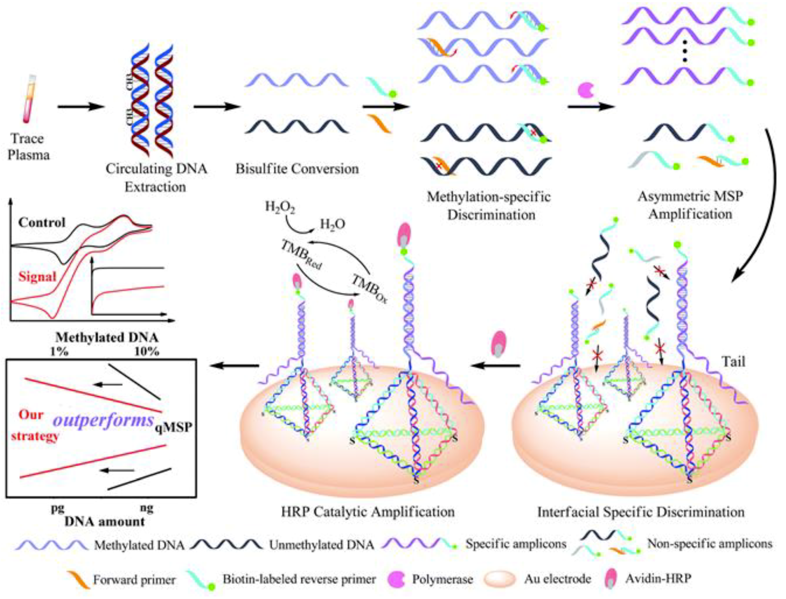 Sensors 19 03762 g005