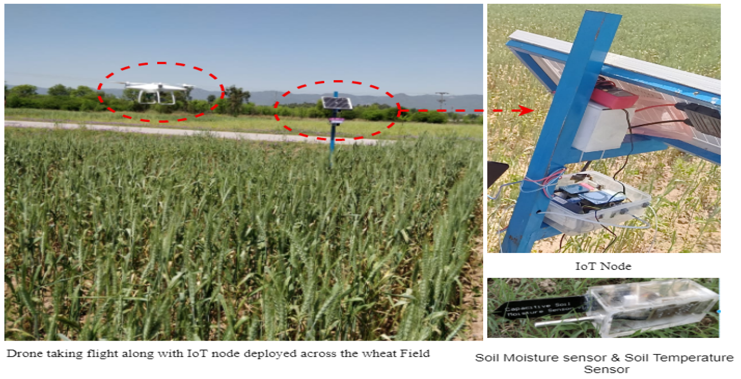 Sensors 19 03796 g004