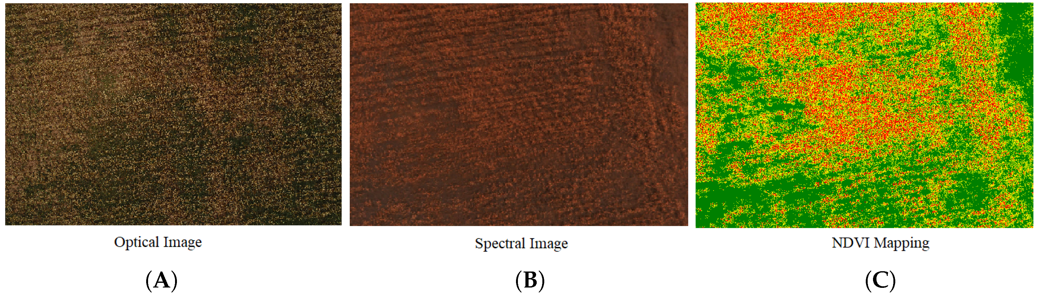 Sensors 19 03796 g007