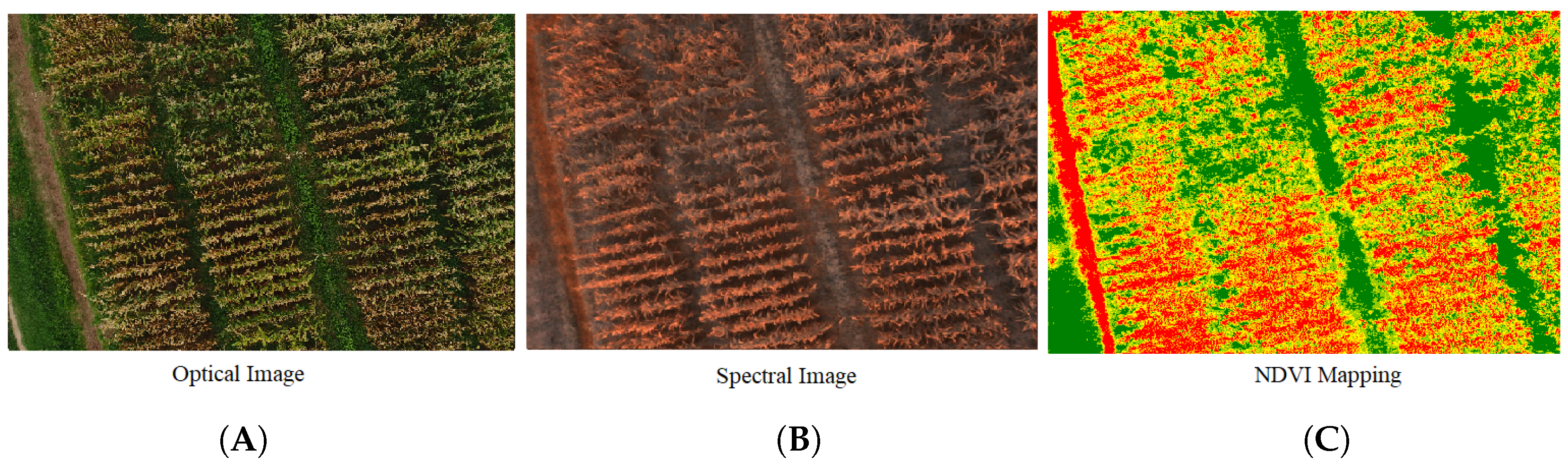 Sensors 19 03796 g008
