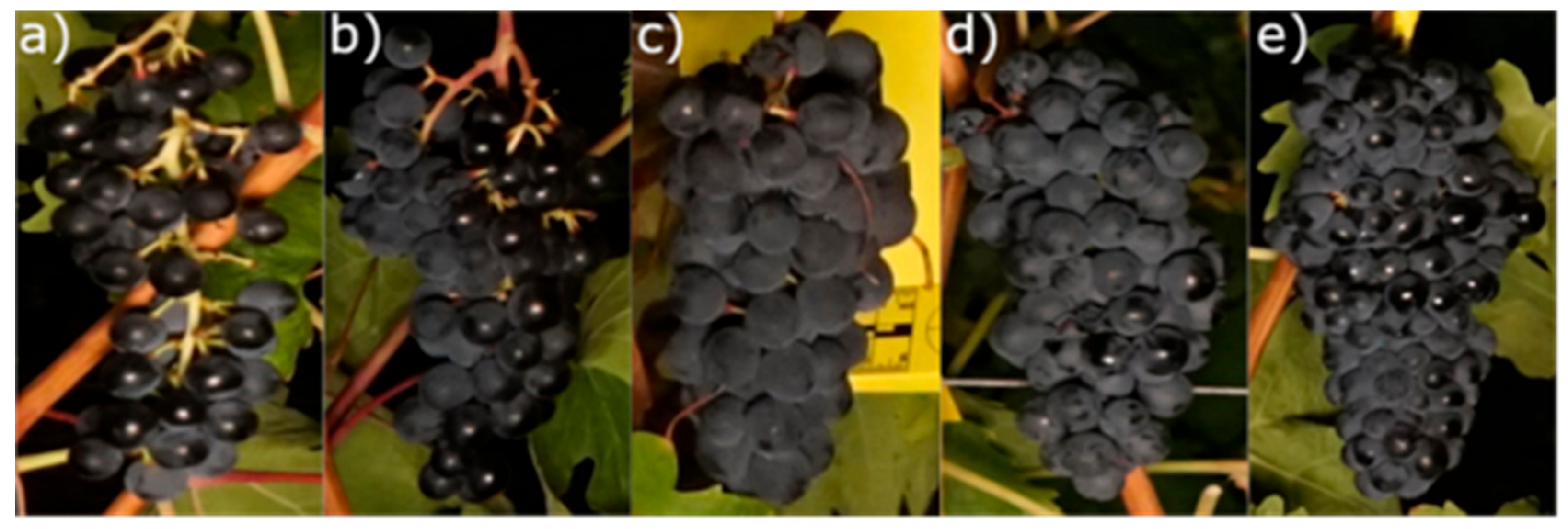 Sensors 19 03799 g002