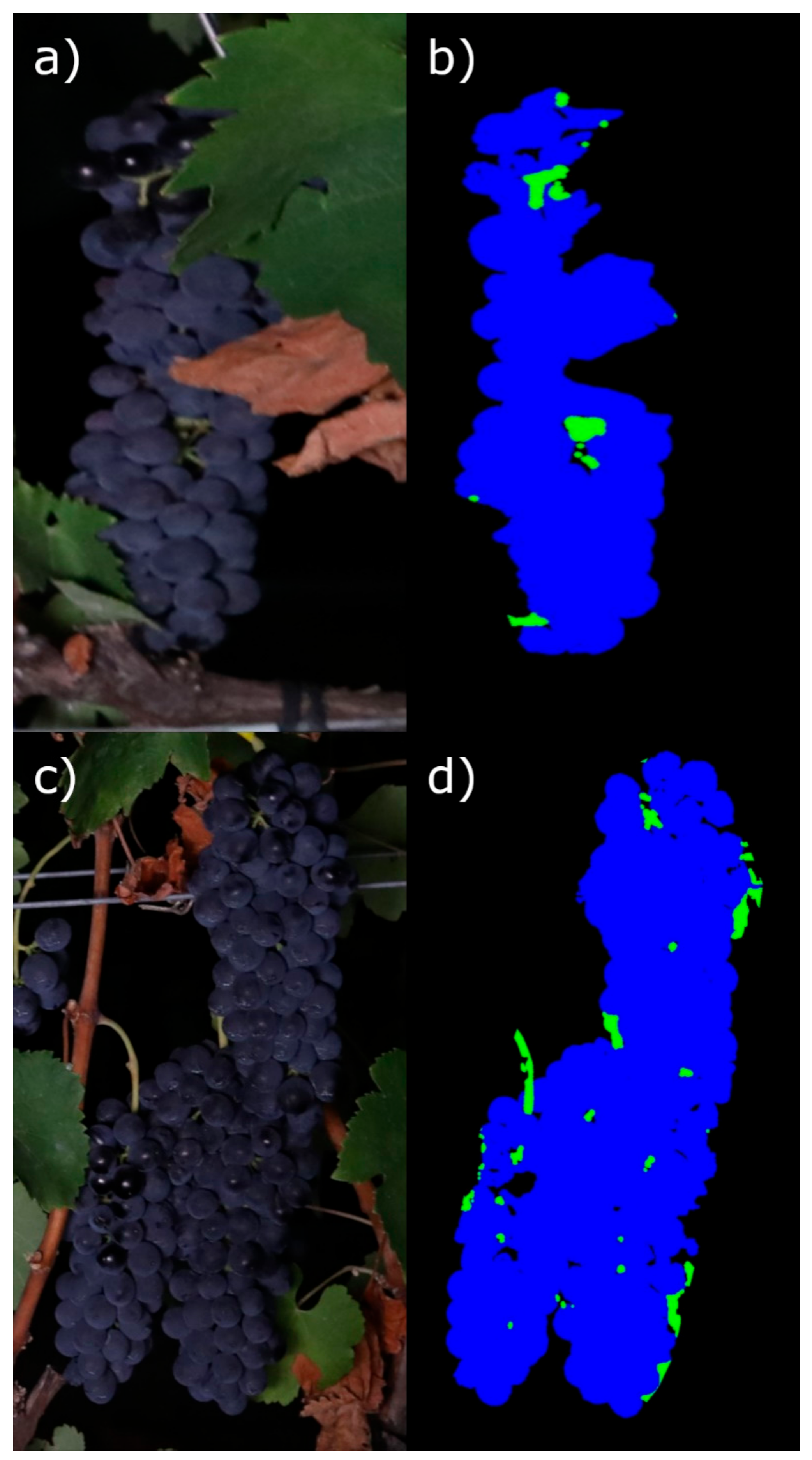 Sensors 19 03799 g009