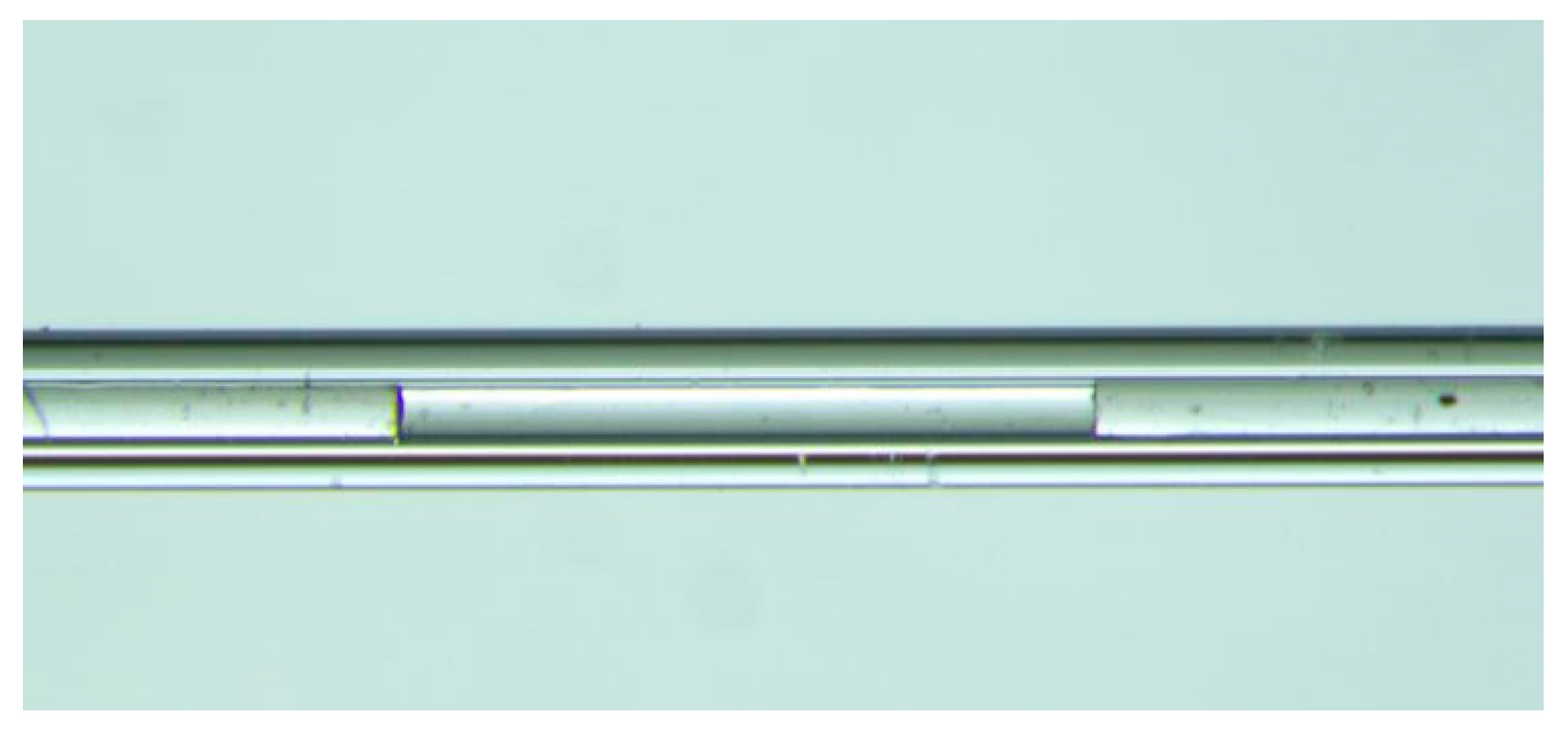 Sensors 19 03868 g010